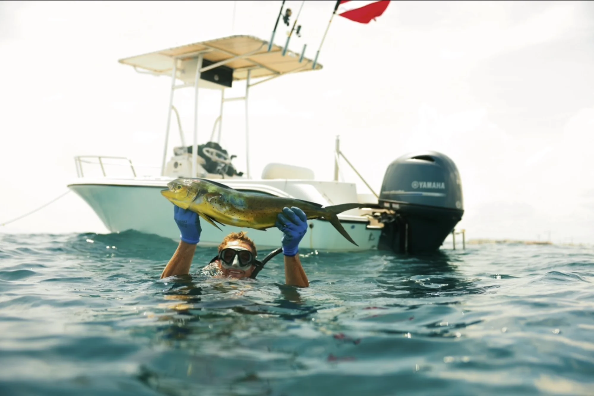 Who doesn’t love some schoolies in 40ft of water....