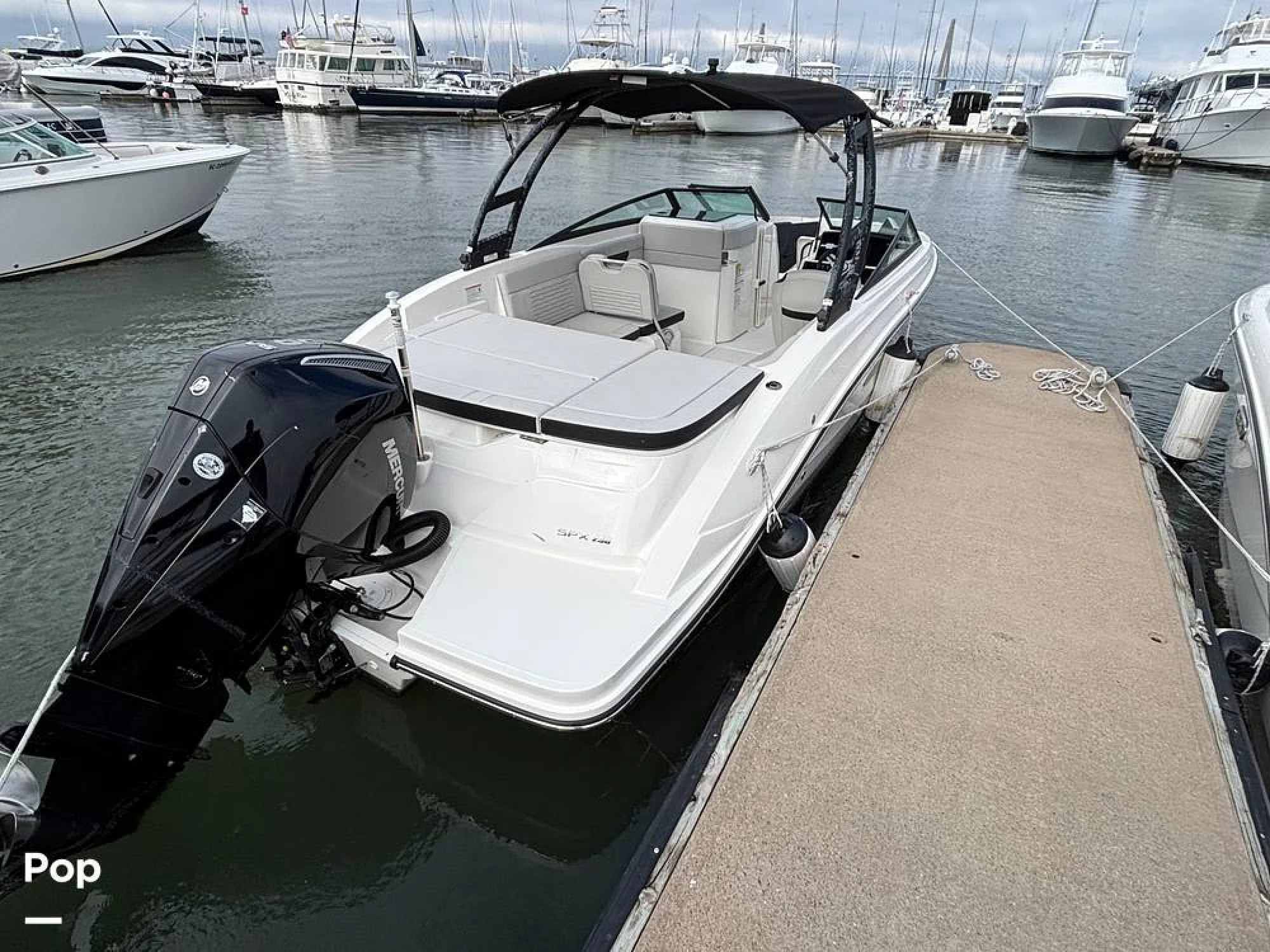 2025 Sea Ray SPX 230 OB - Image 4
