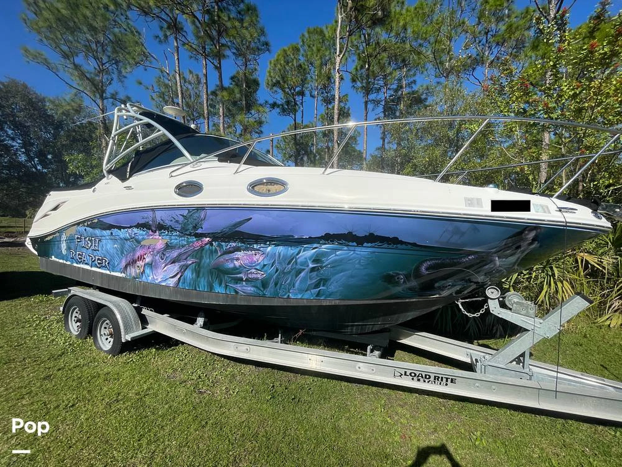 2006 Sea Ray Amberjack 270 - Image 4