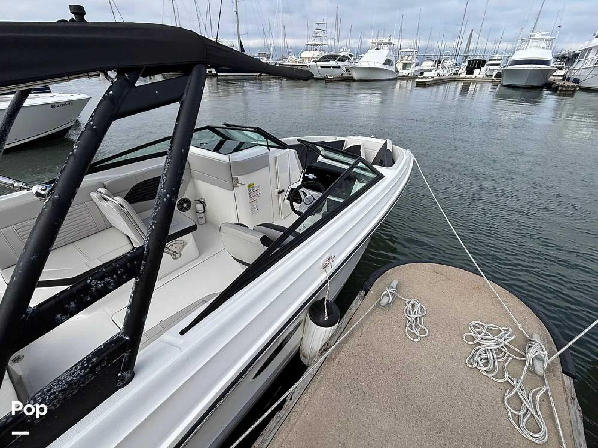 2025 Sea Ray SPX 230 OB - Image 5