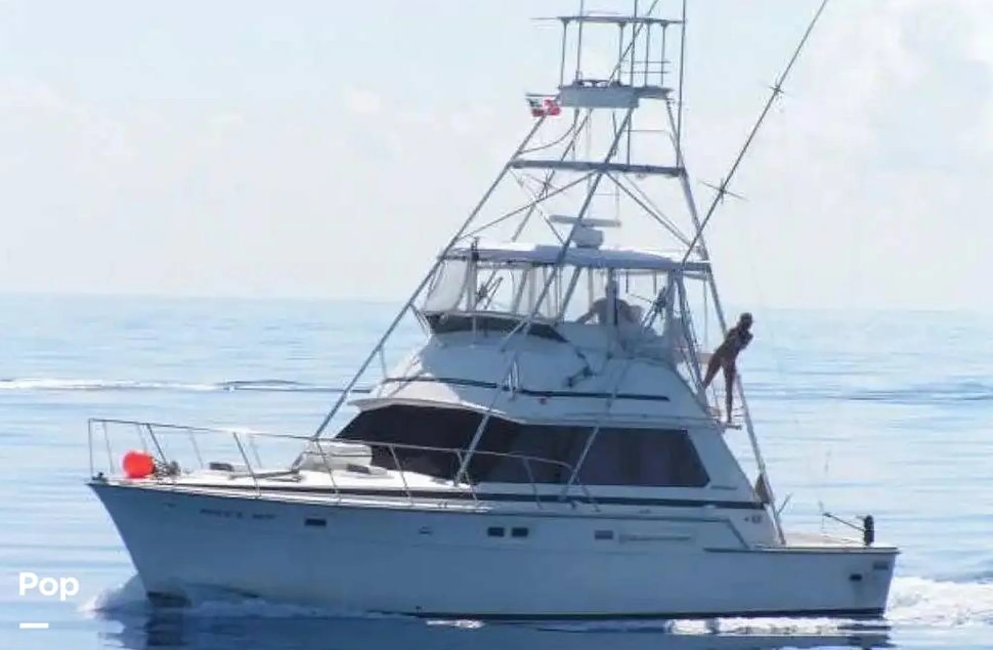 1981 Bertram 42 Sportfish - Main Image