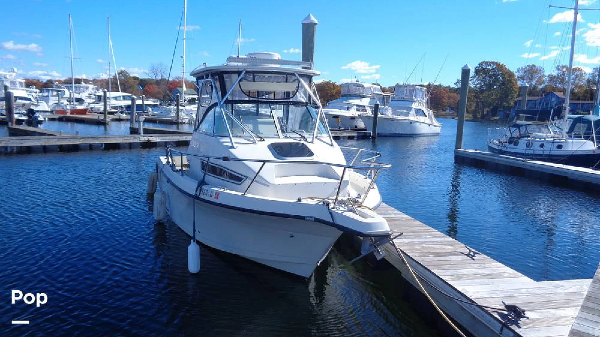 1994 Stratos 2500WA - Image 3