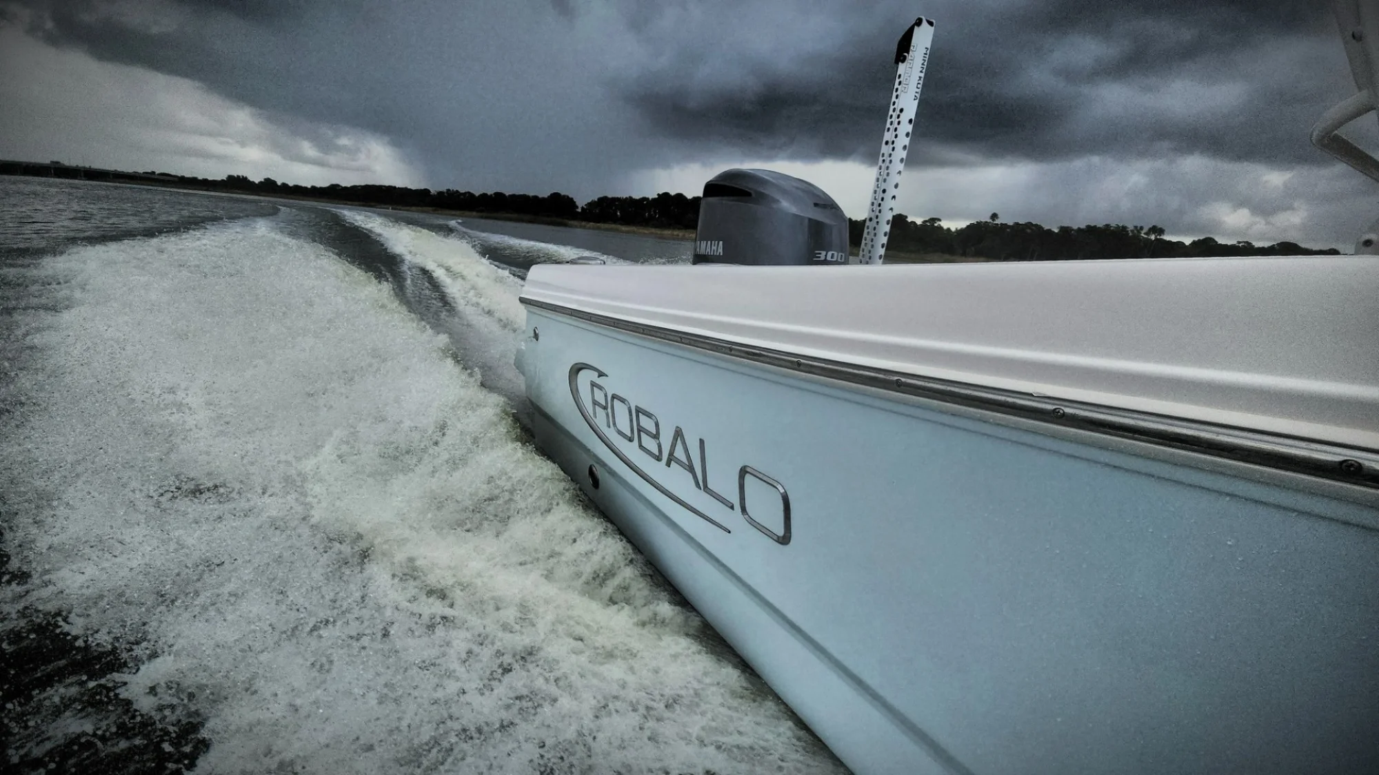 2020 Robalo 246 Cayman - Image 2