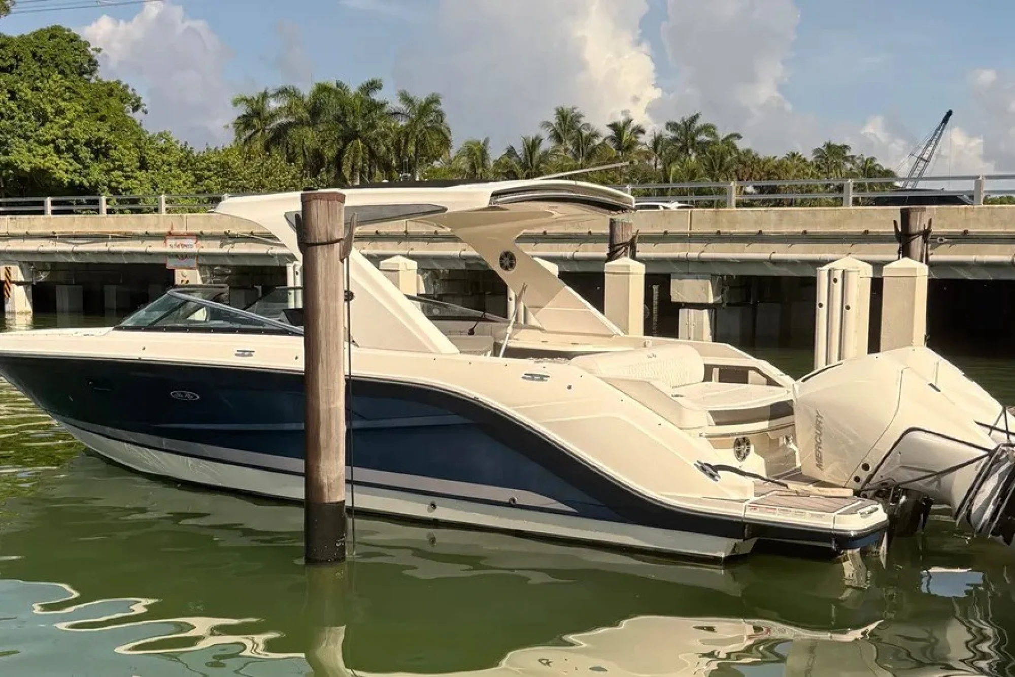 2023 Sea Ray SLX 310 Outboard - Main Image