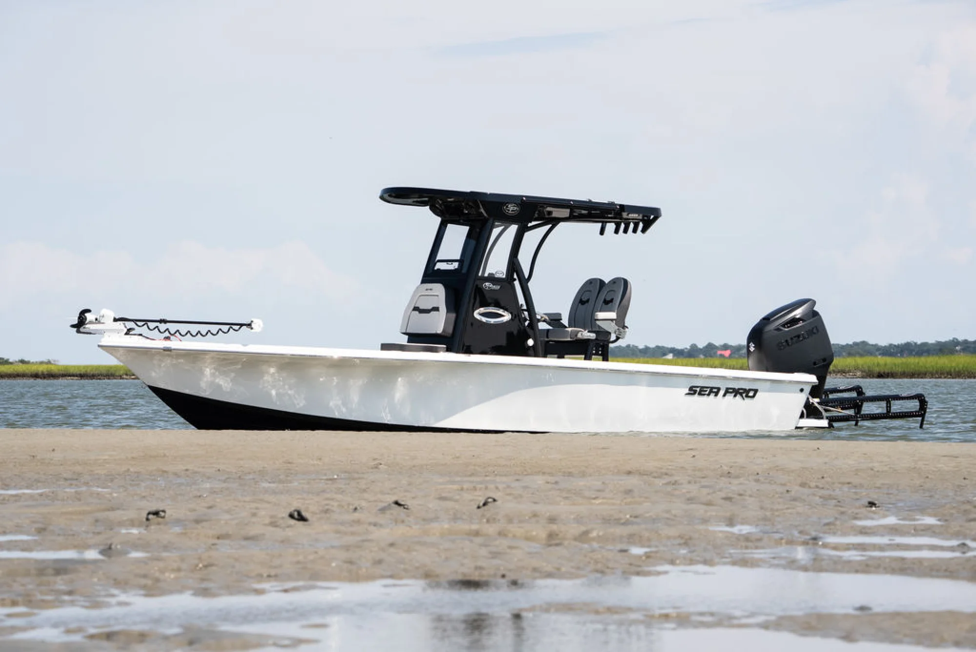 Sea Pro 250 DLX - Main Image