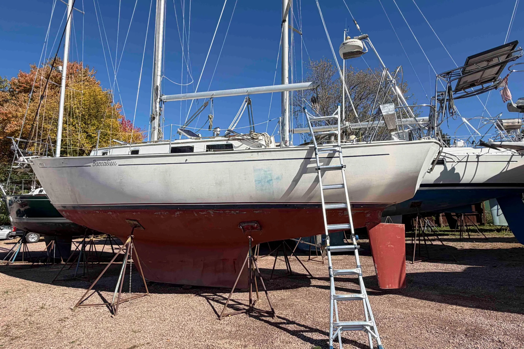 Hinterhoeller Niagara 35 - Image 2