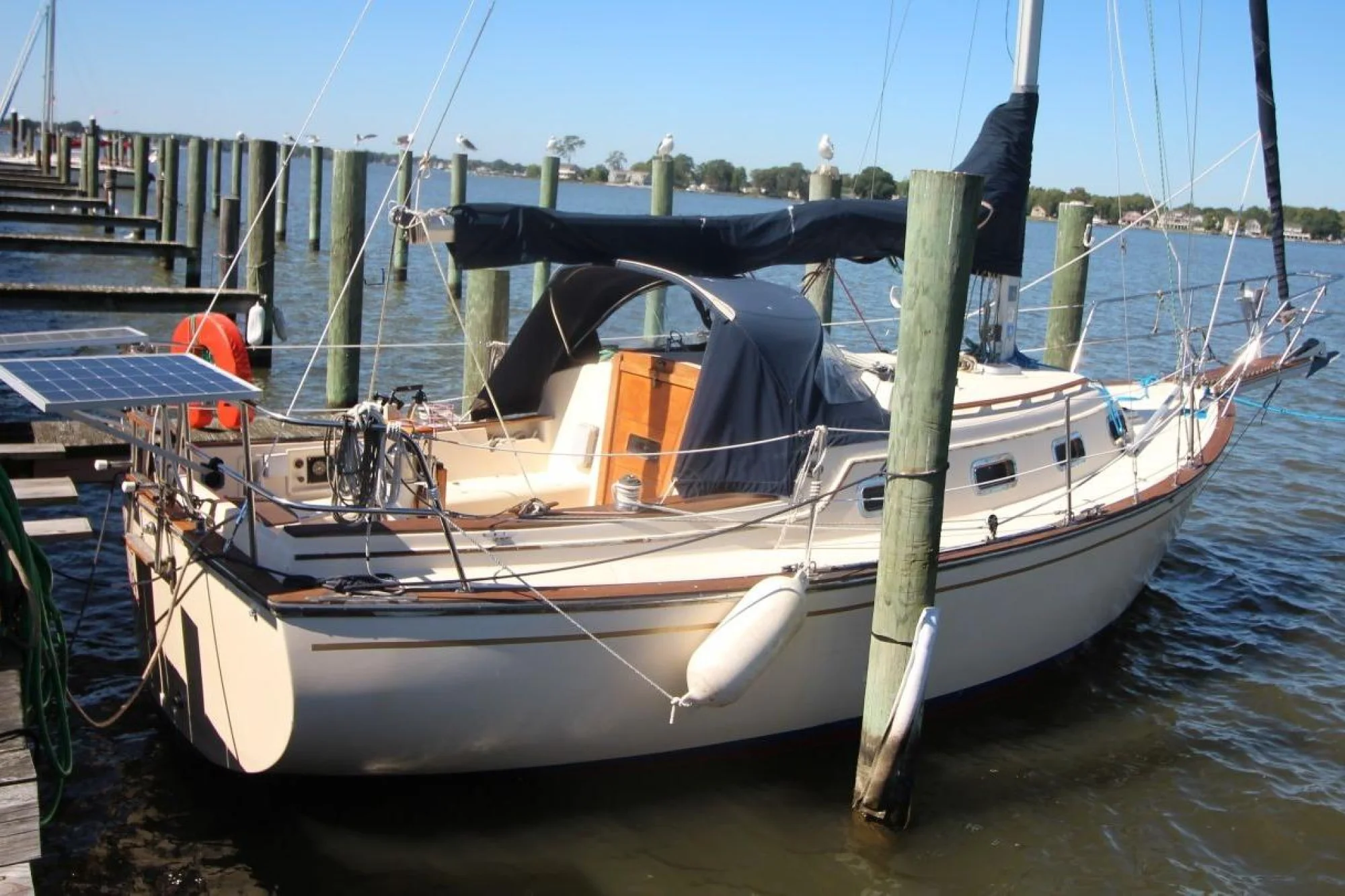 Island Packet 27 - Image 2