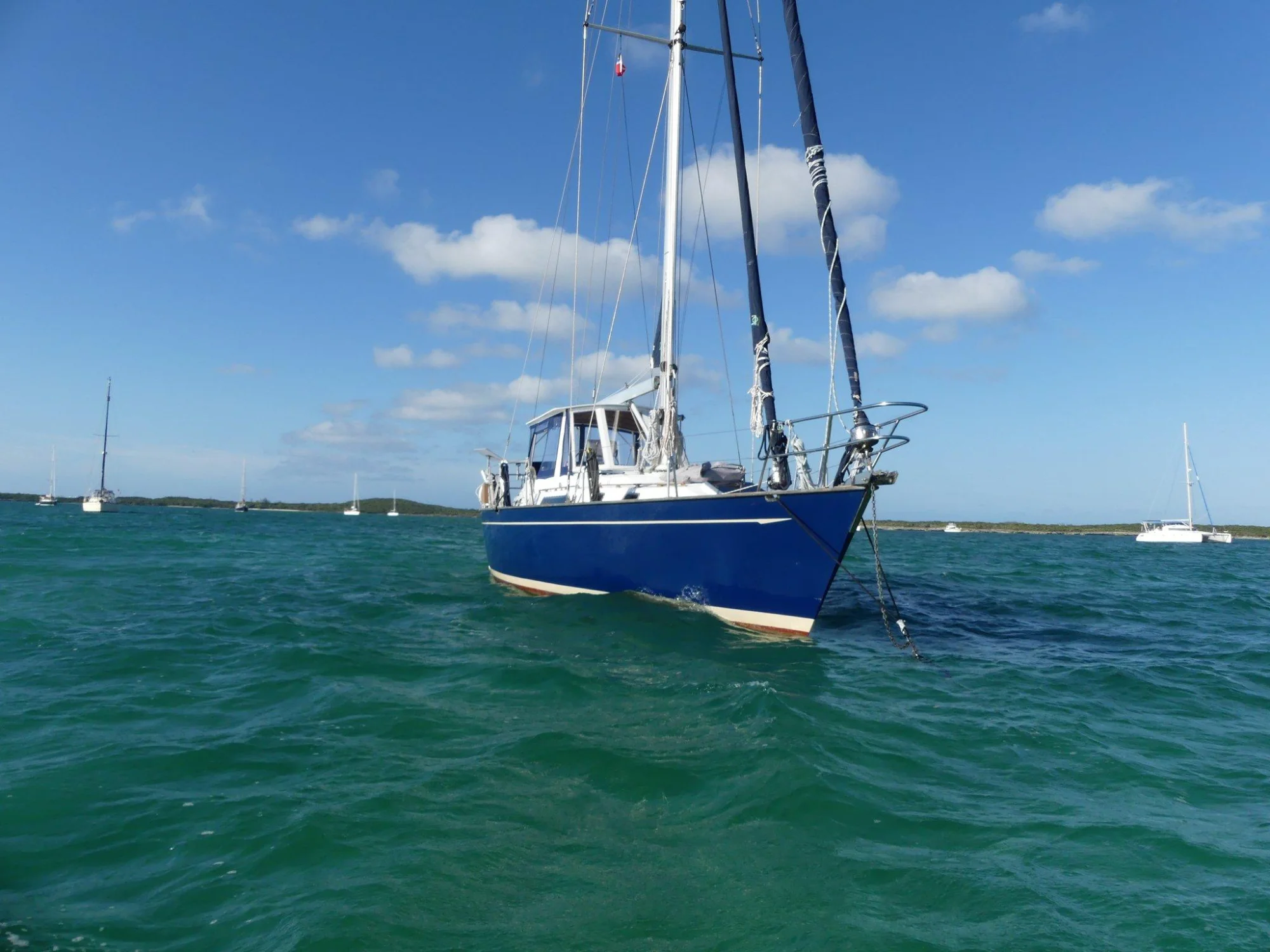 New arrival - Image 2