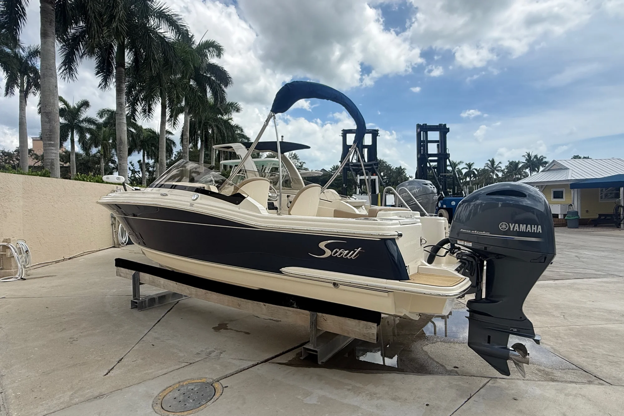 2022 Scout 215 Dorado