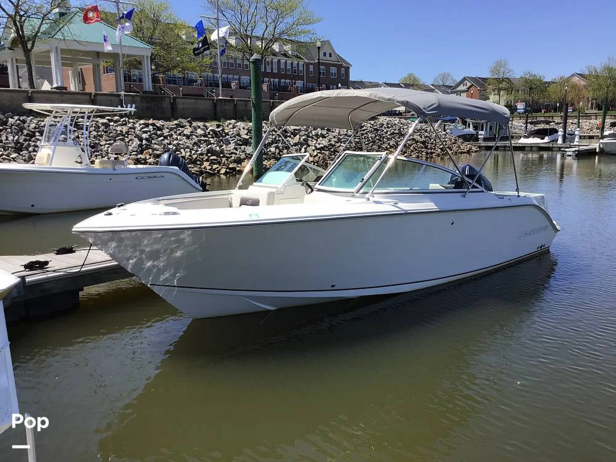 2024 Sailfish 226 DC - Image 4