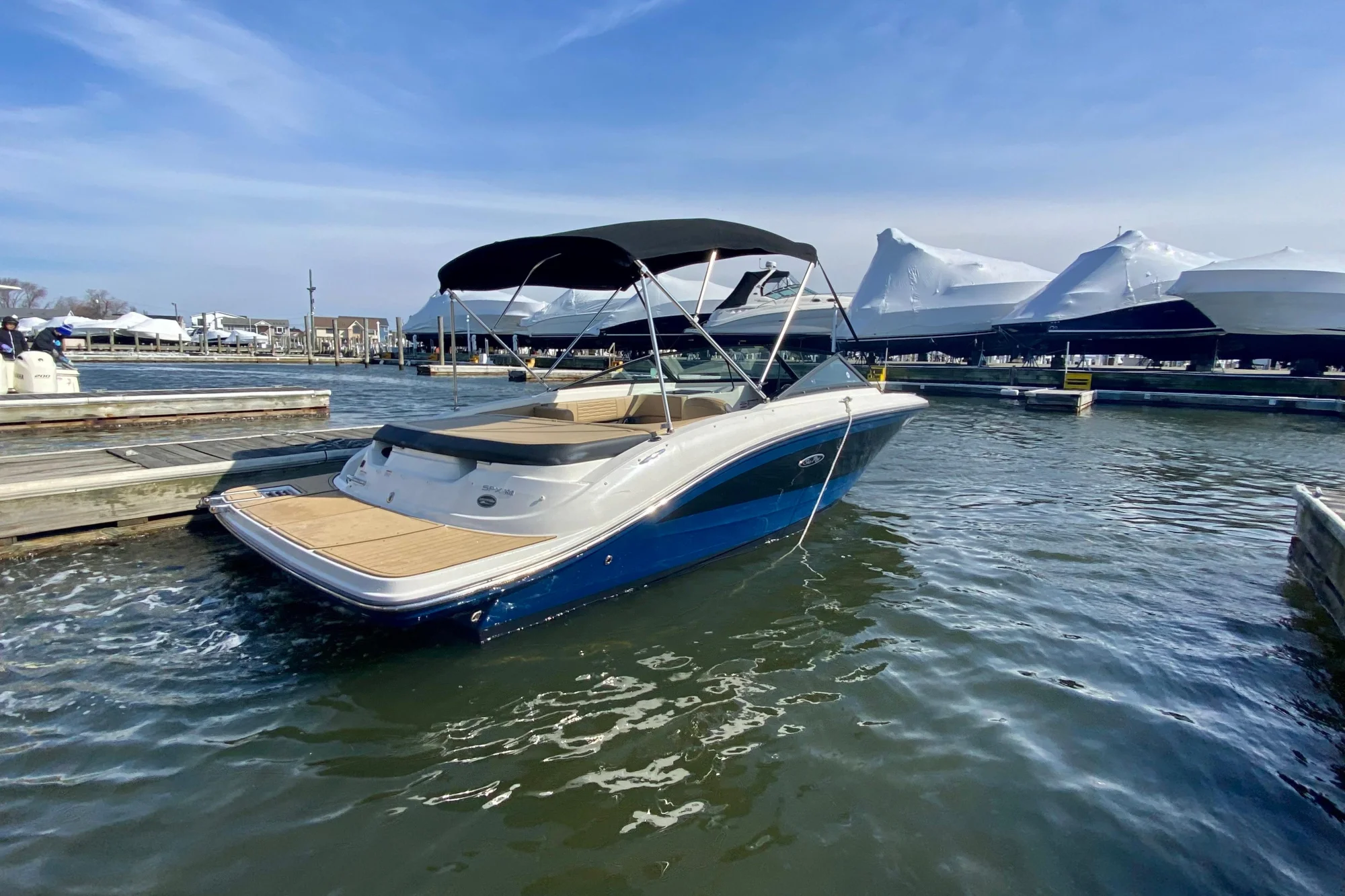 2021 Sea Ray SPX 190 - Image 2