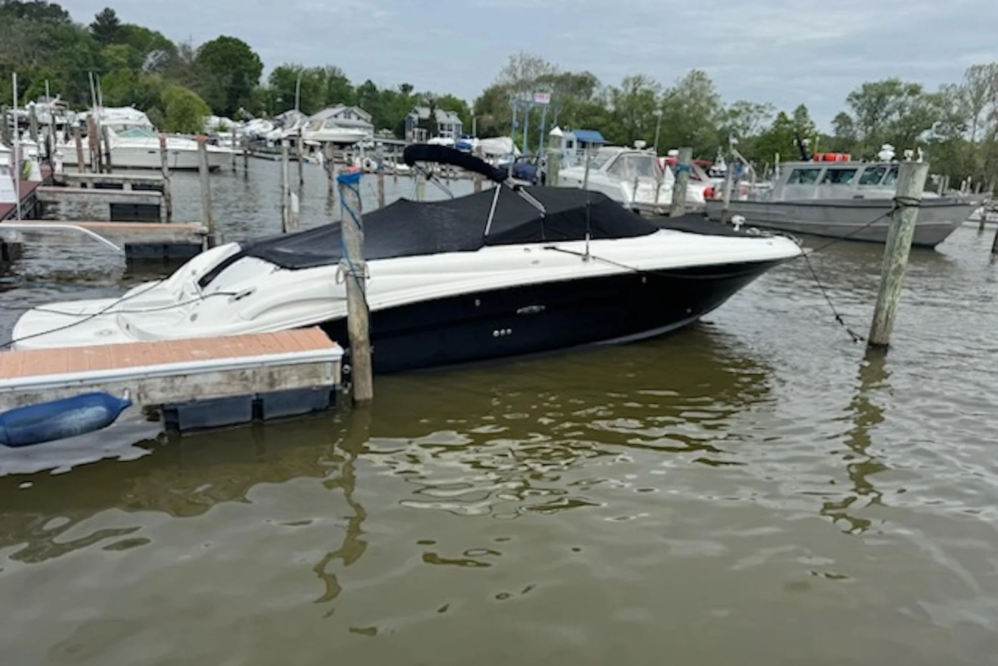 Sea Ray 290 SLX