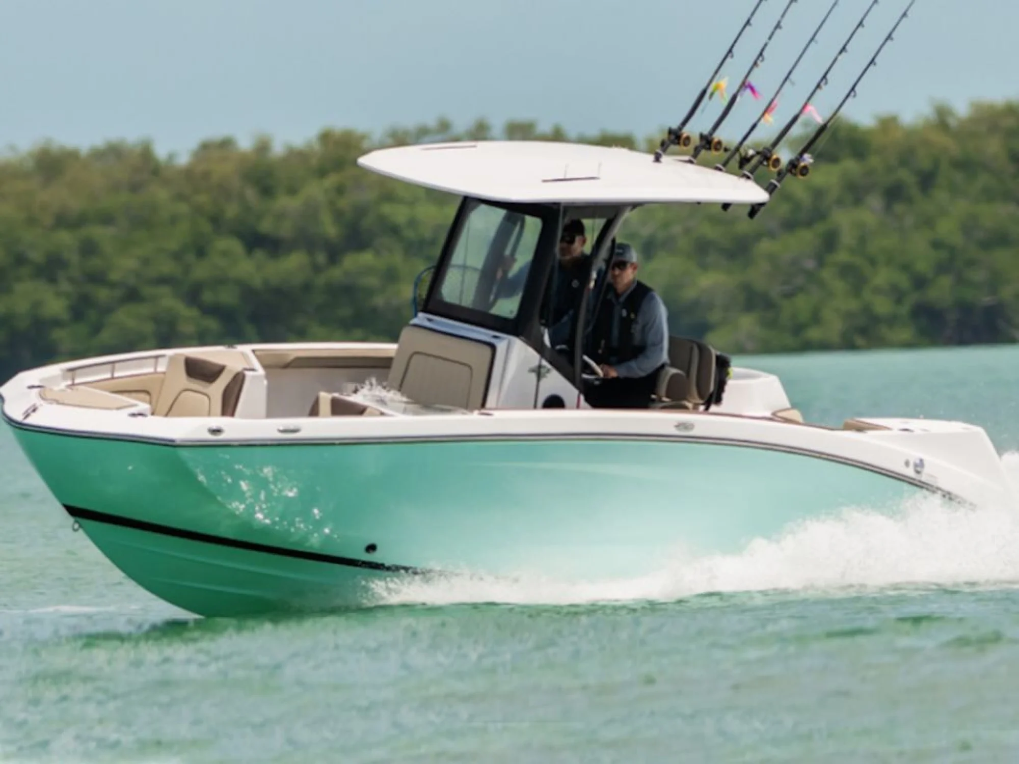 Yamaha Marine 255 FSH Sport E - Main Image