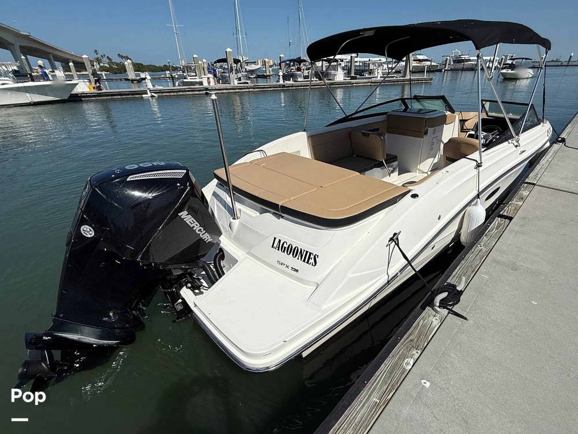2024 Sea Ray SPX 230 OB - Image 3
