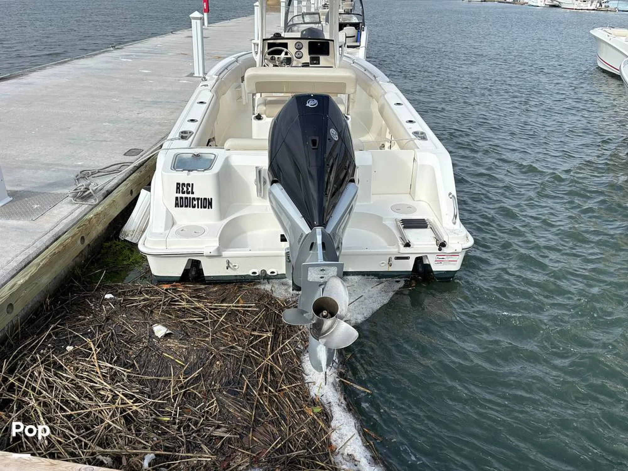 2025 Boston Whaler 230 Outrage - Image 3