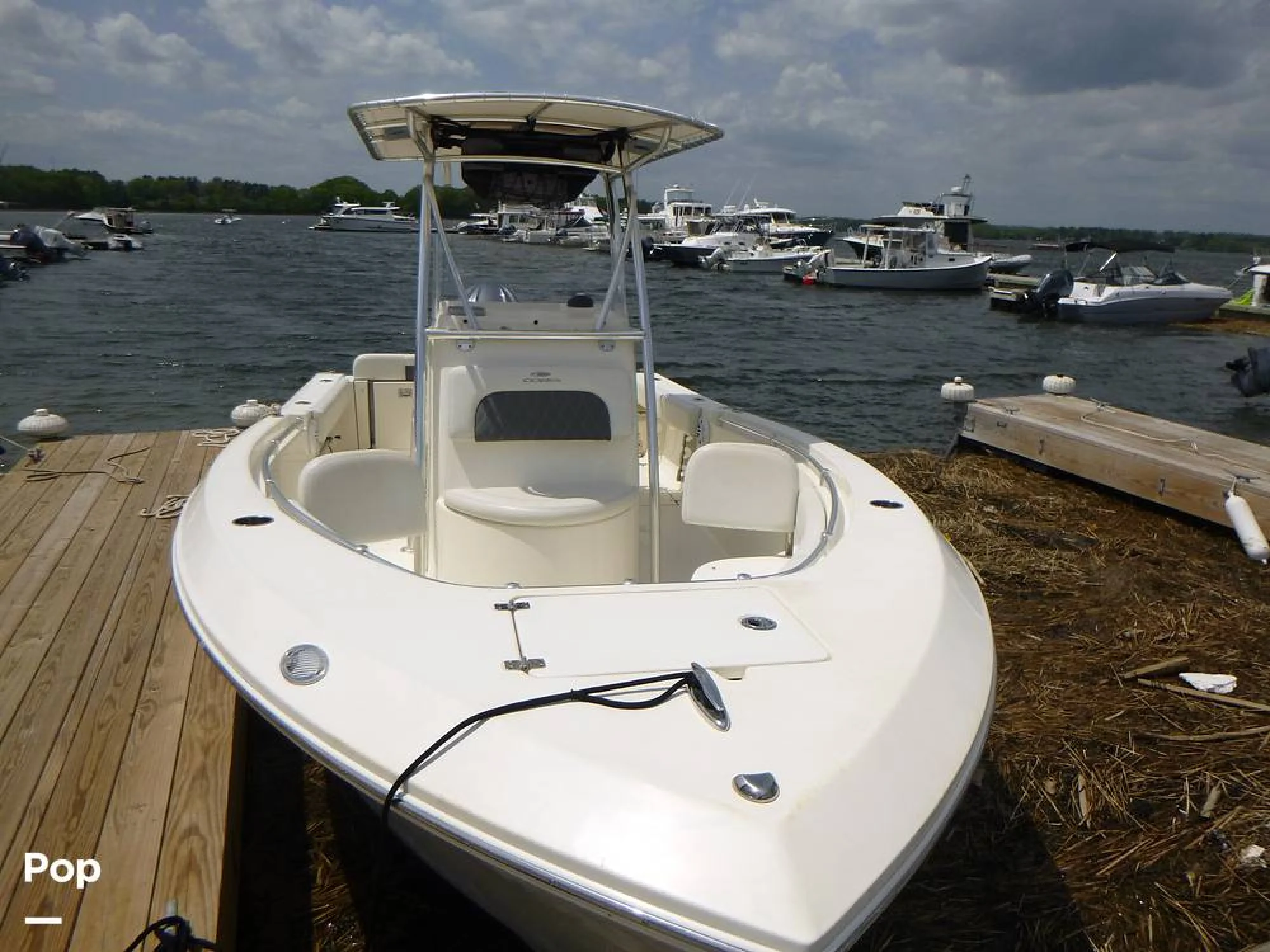 2022 Cobia 237 CC - Image 5