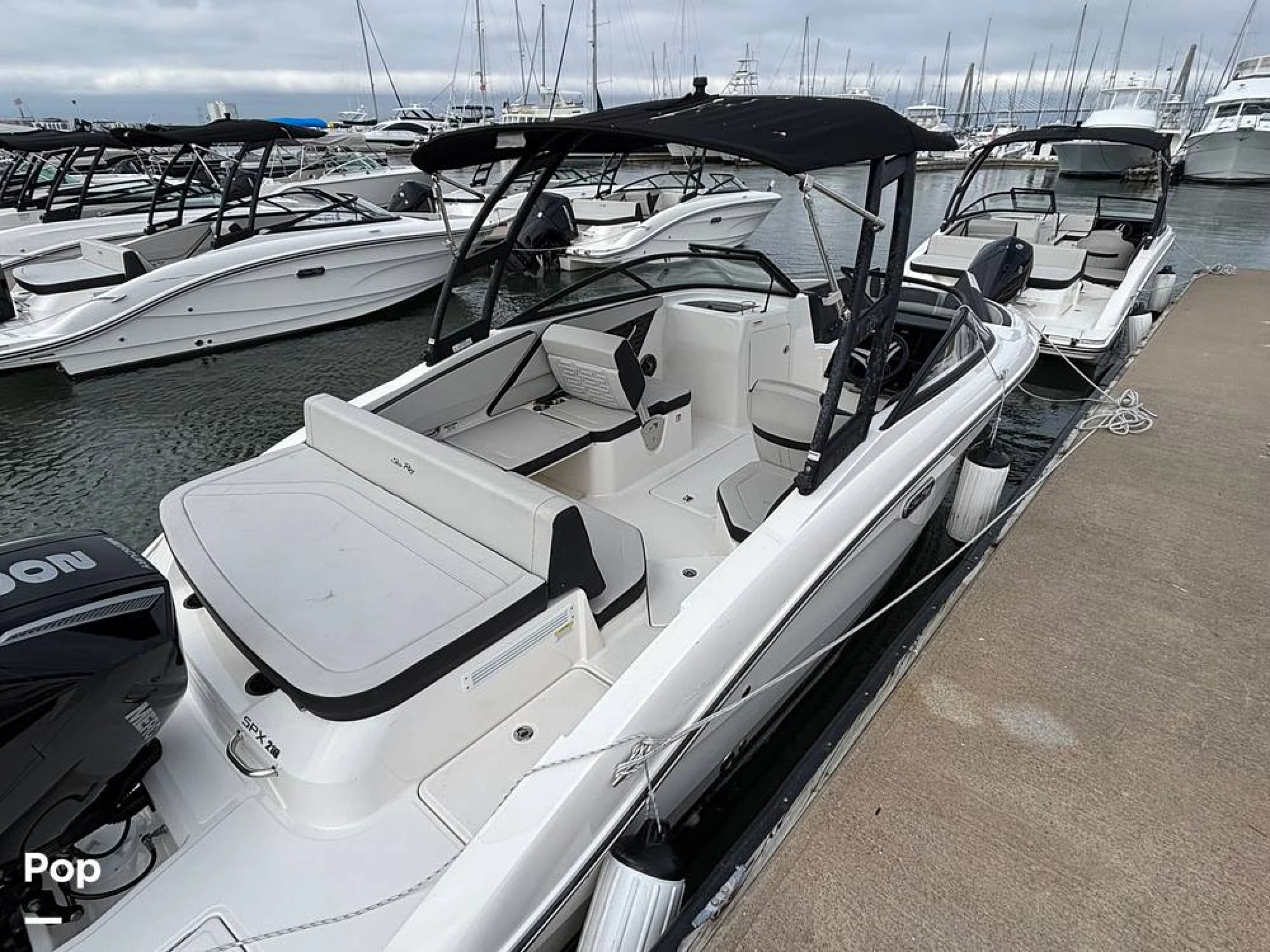 2025 Sea Ray SPX 210 OB - Image 4