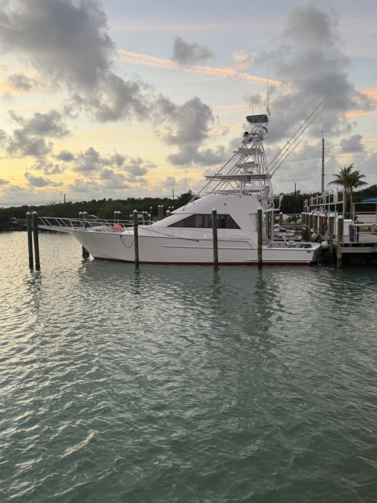 1990 Striker 60 Sportfish - Image 2