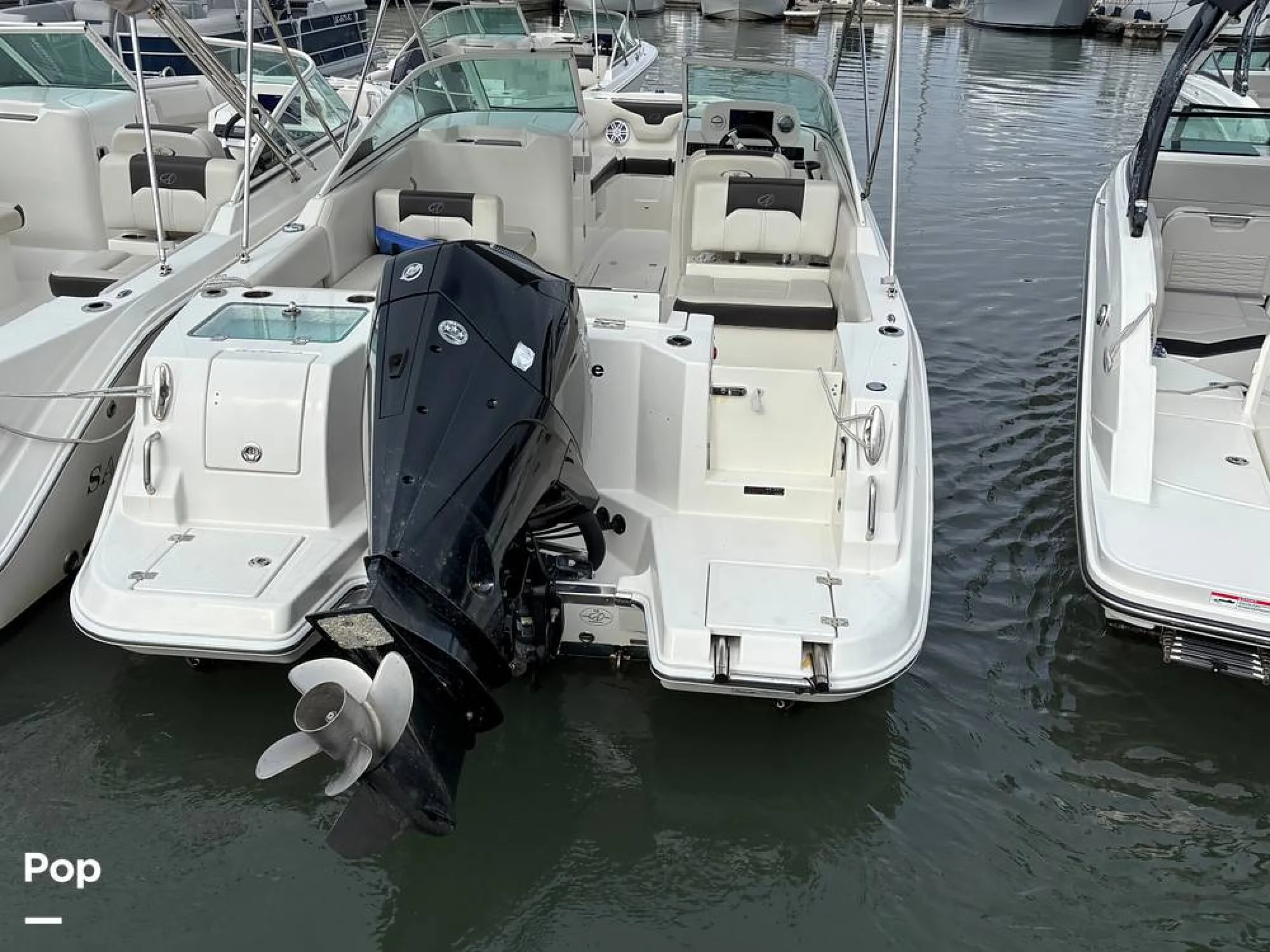 2024 Sailfish 226 DC - Image 3