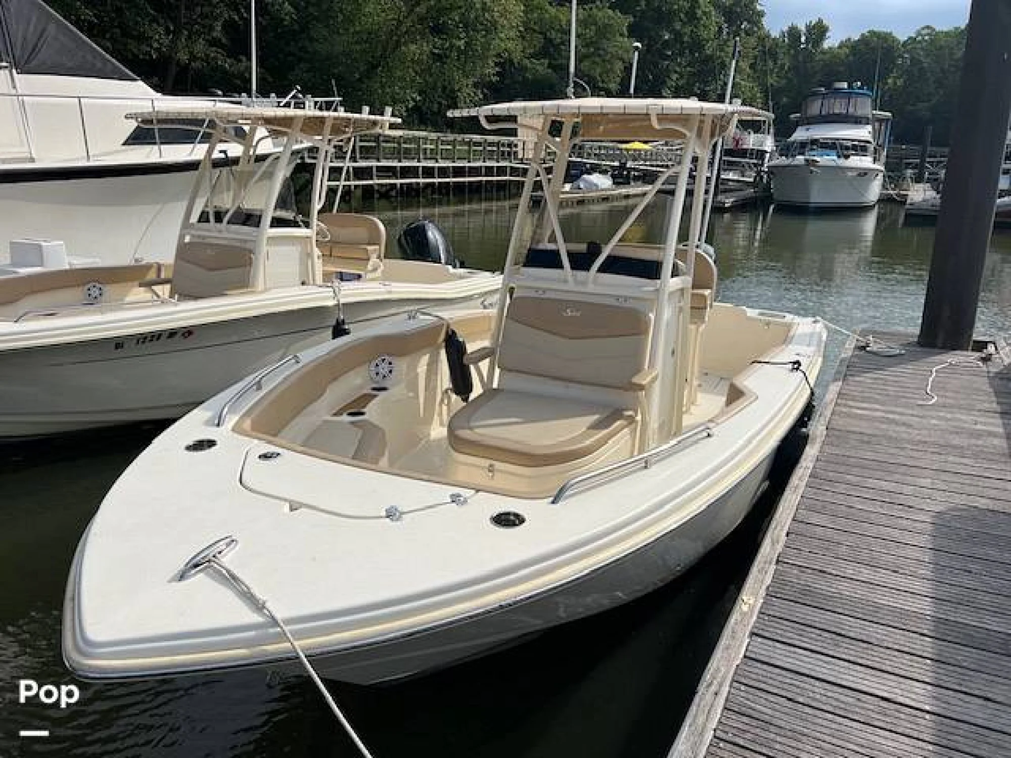 2023 Scout 215 XSF - Main Image