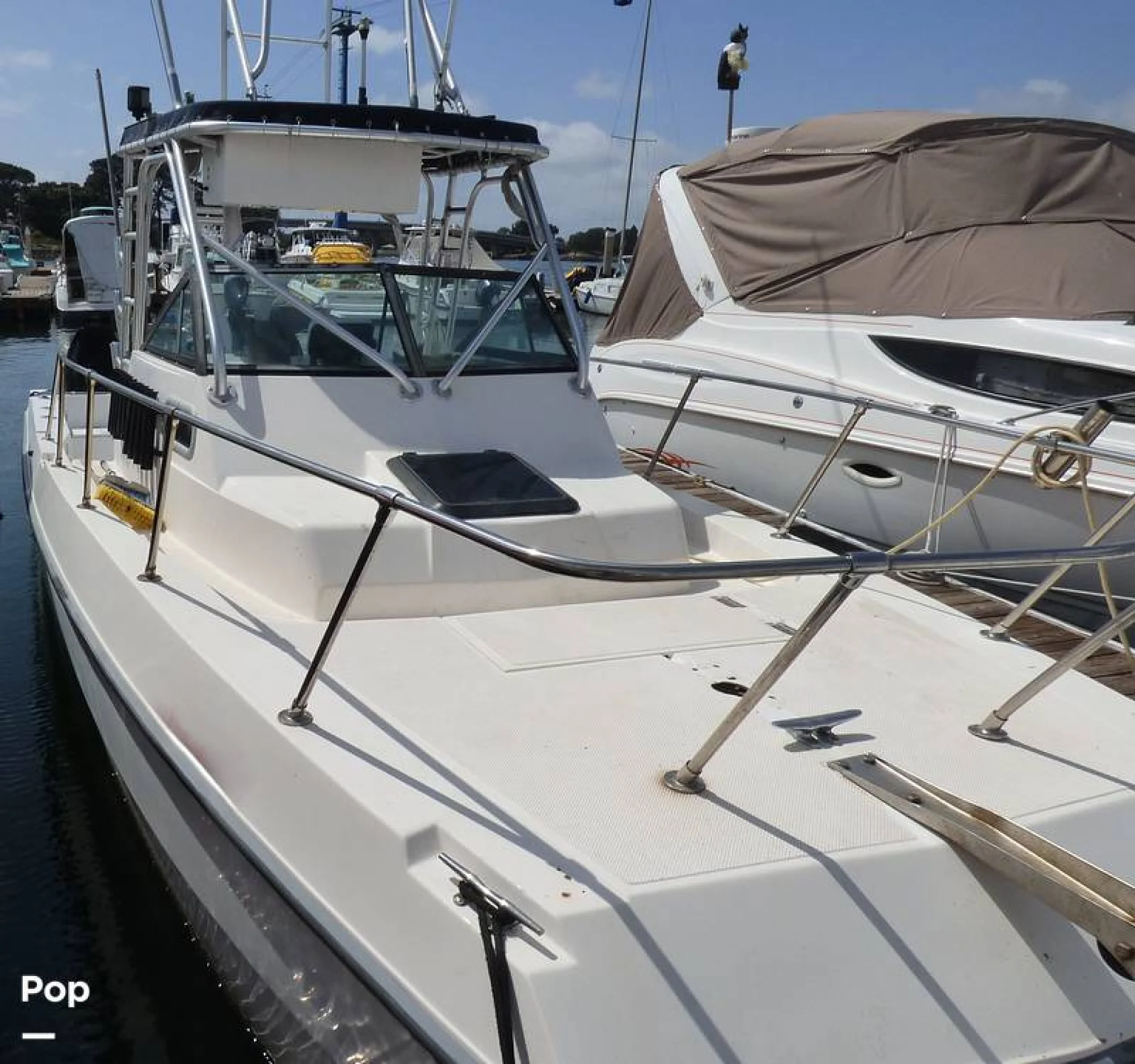 1996 Sea Cat SL5 - Image 2