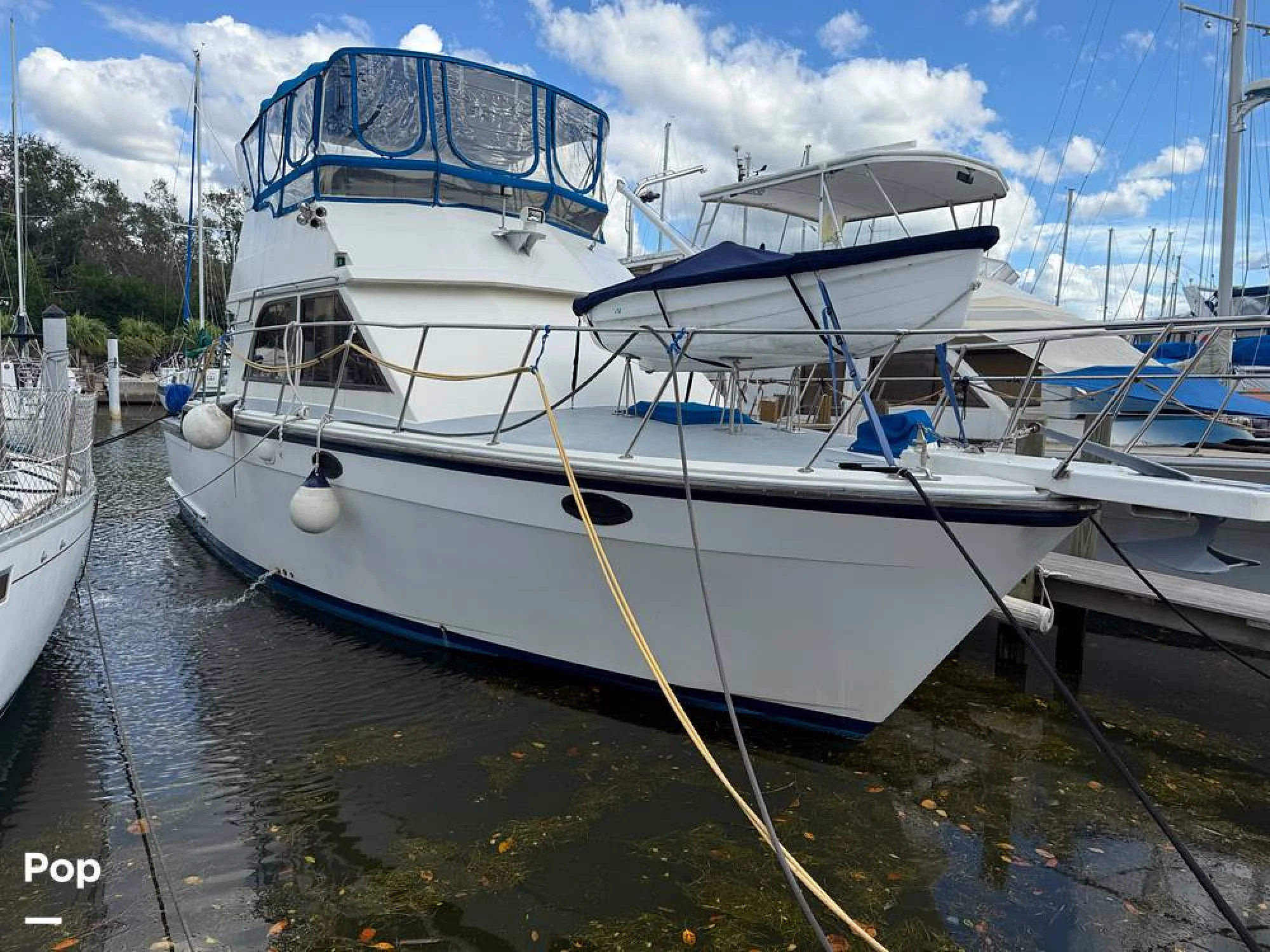 1989 Jefferson 37 Convertible - Image 3