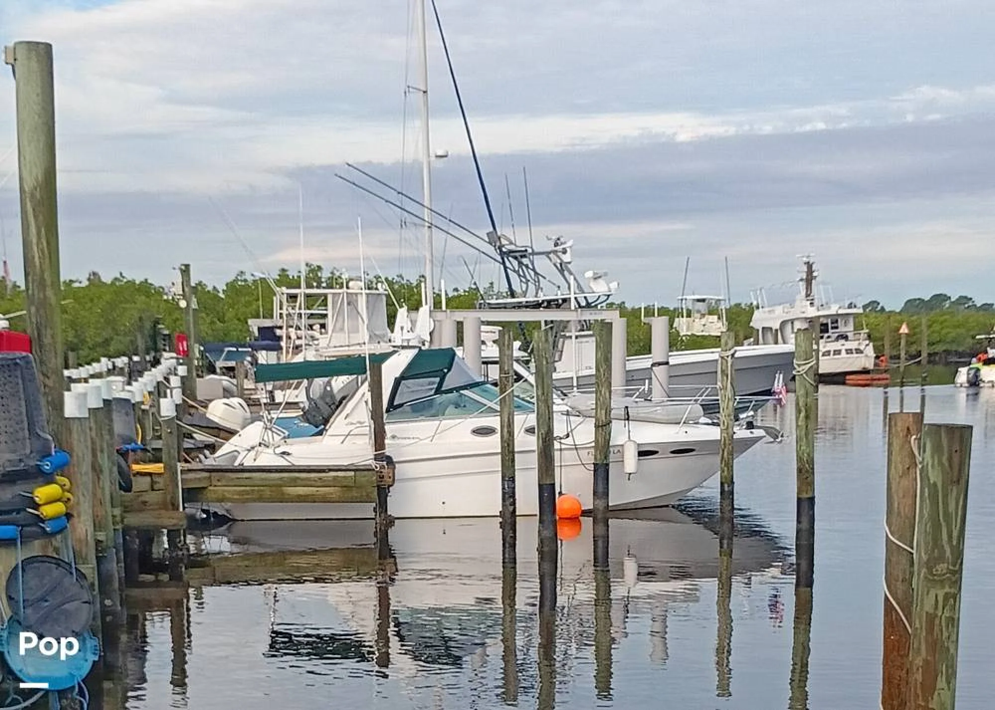 1999 Sea Ray 290 Sundancer - Image 2