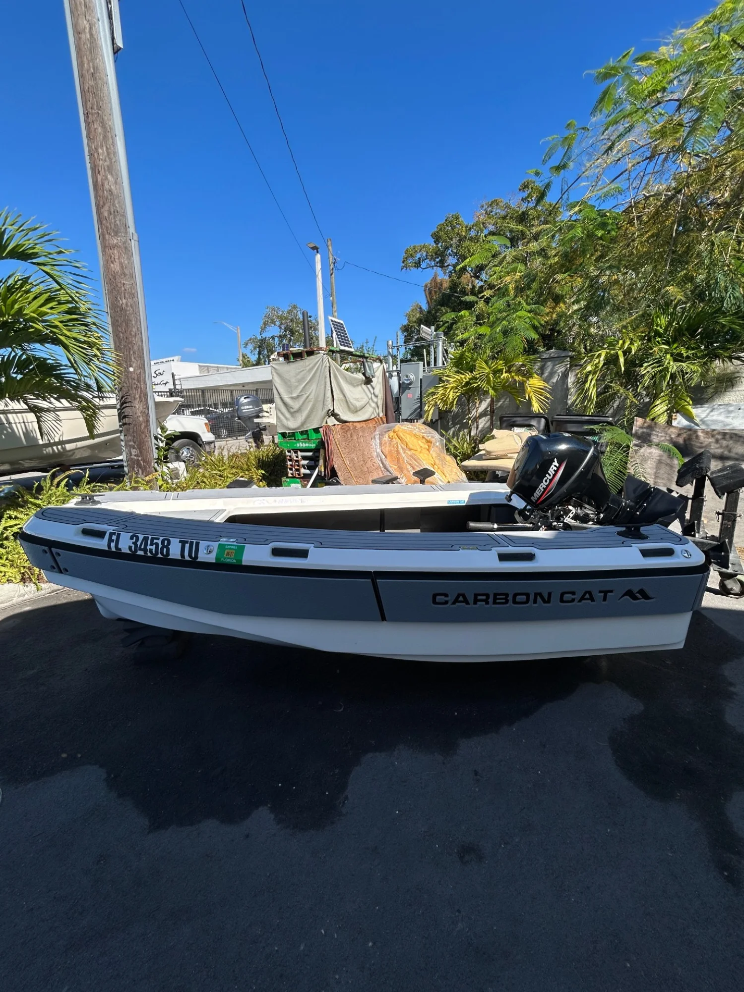 2024 Aspen T10 Carbon Cat - Image 2