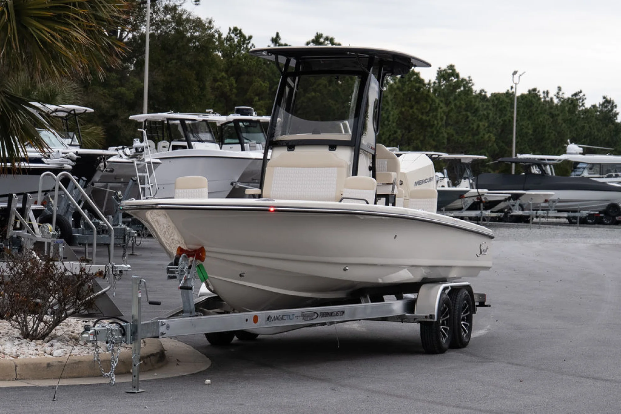 SCOUT 231 XSB - Image 3