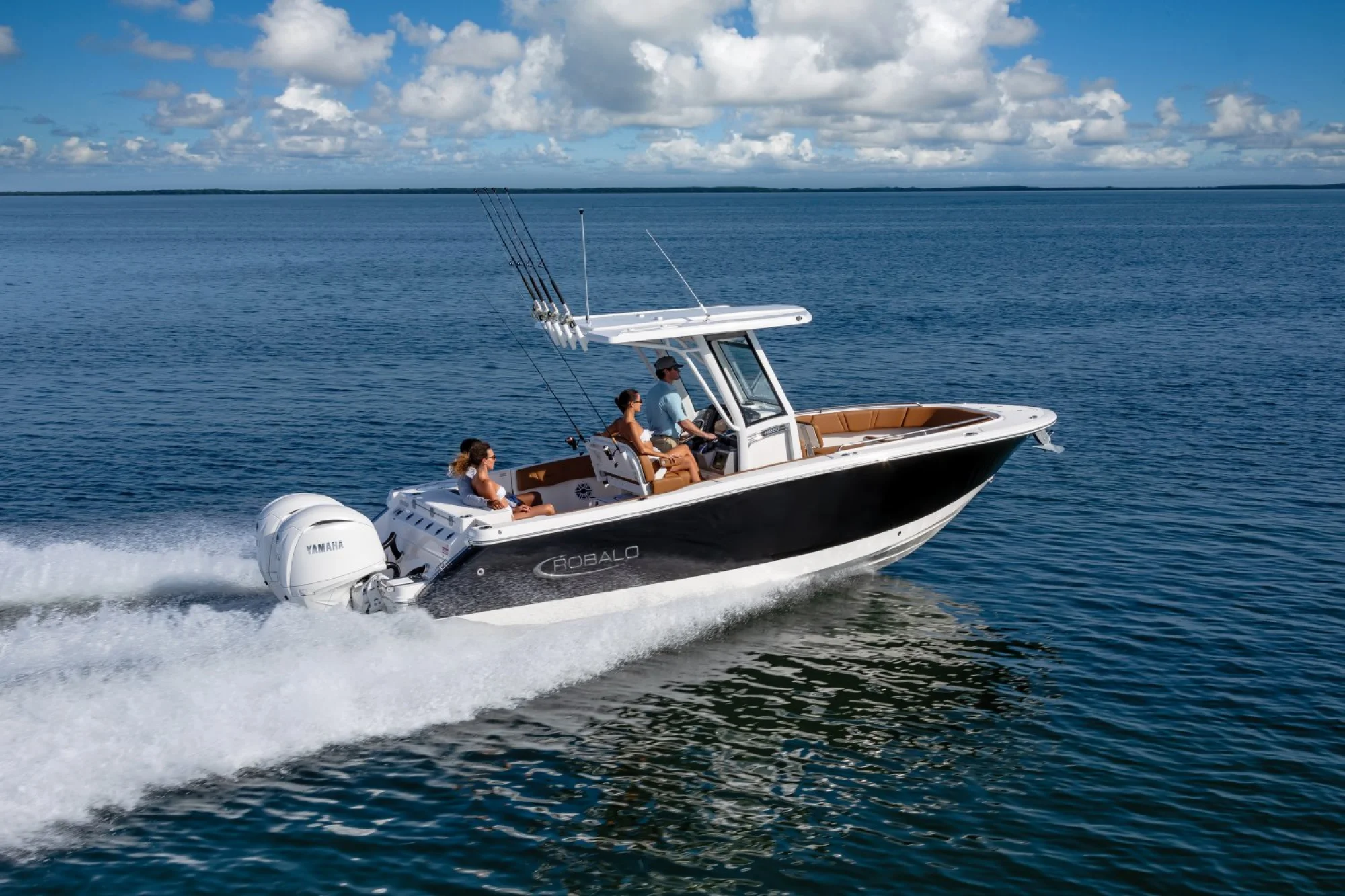 2026 ROBALO R250 - Image 2