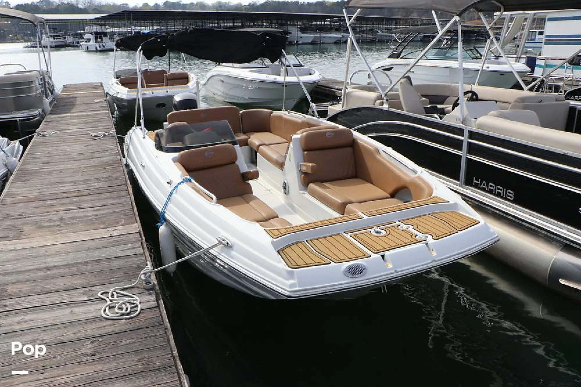 2023 Crownline E225 XS - Image 3