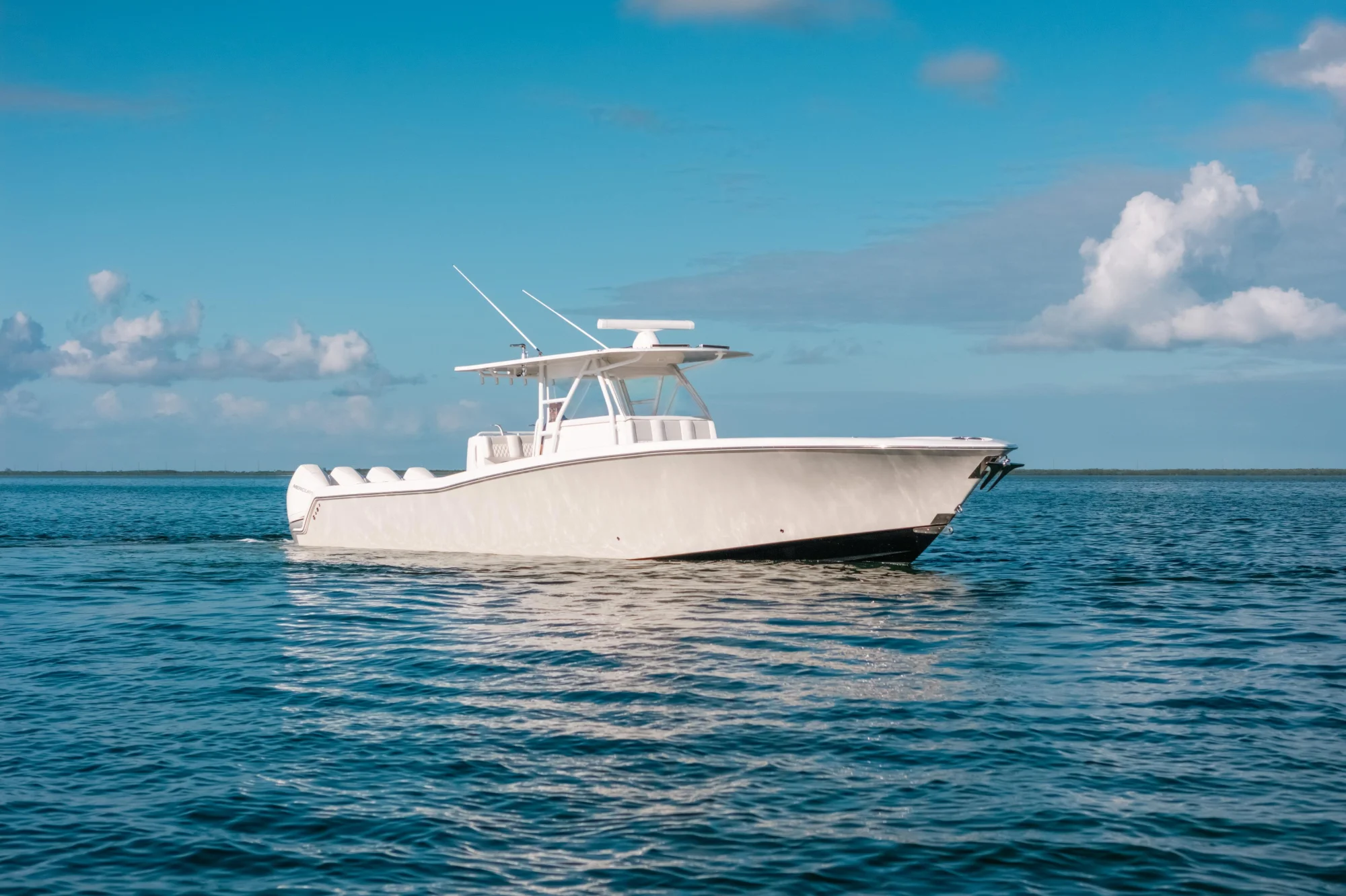 New arrival - Image 5