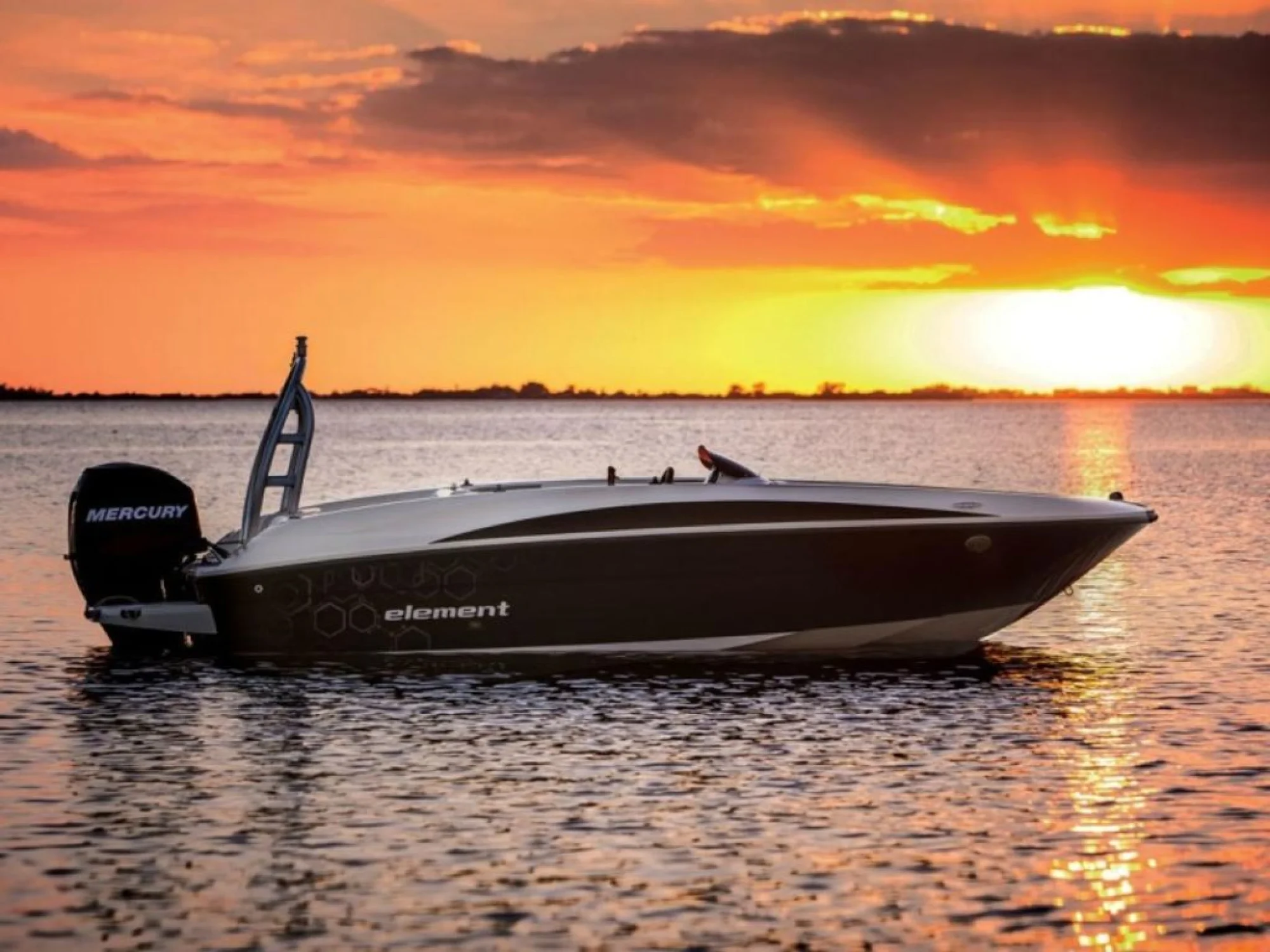 Bayliner Element - Image 2