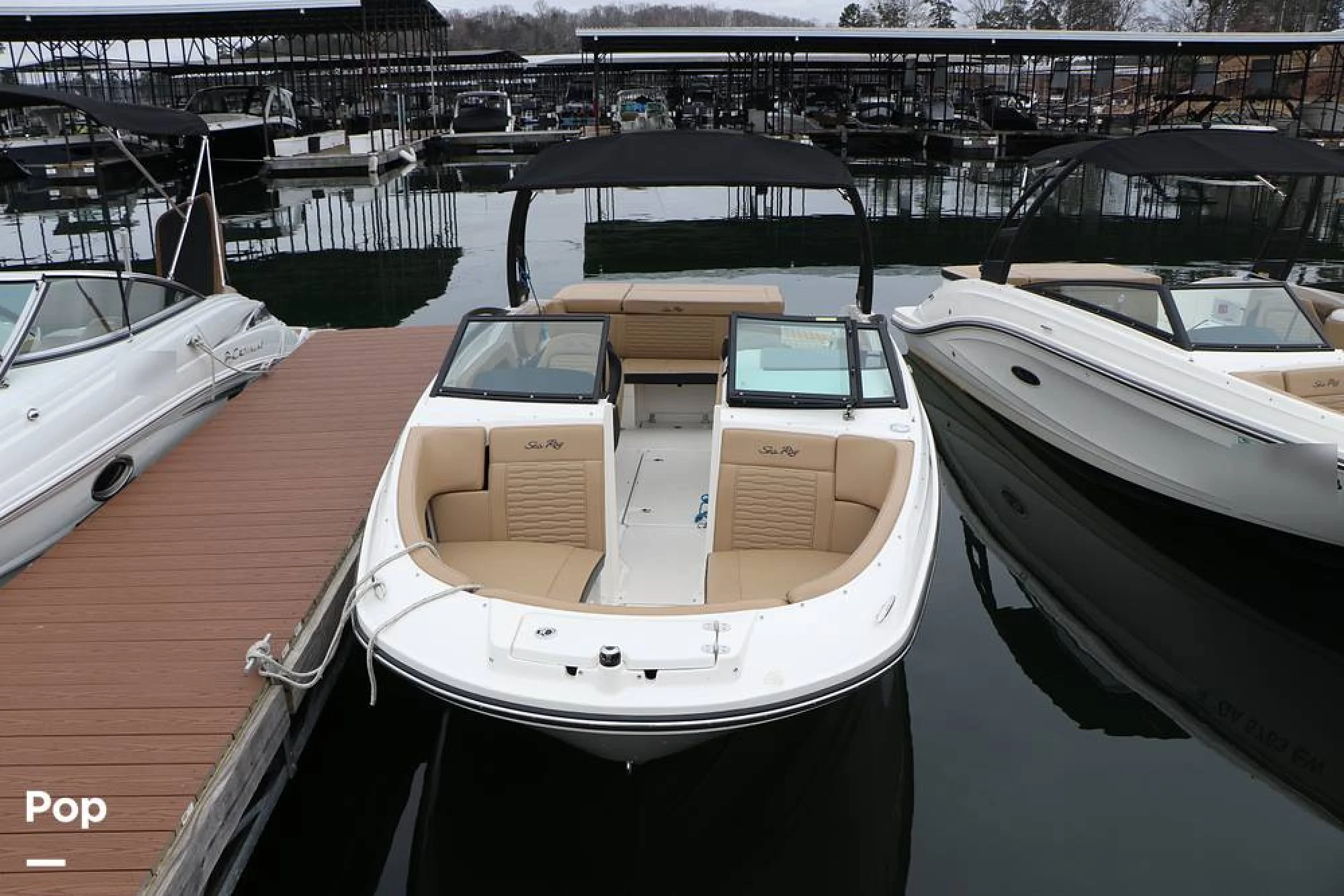 2024 Sea Ray SPX 230 - Image 2
