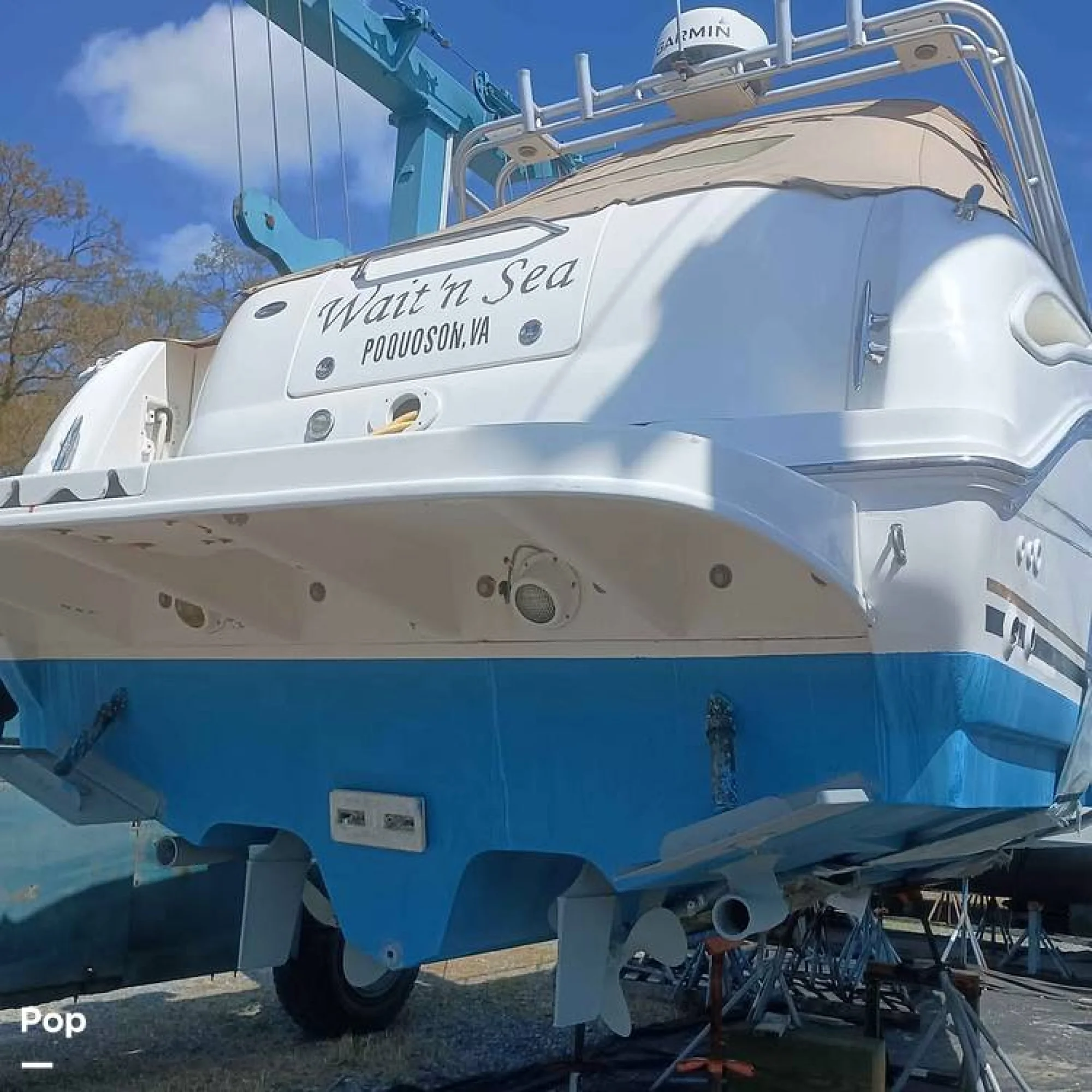 2003 Sea Ray 290 Amberjack - Image 3