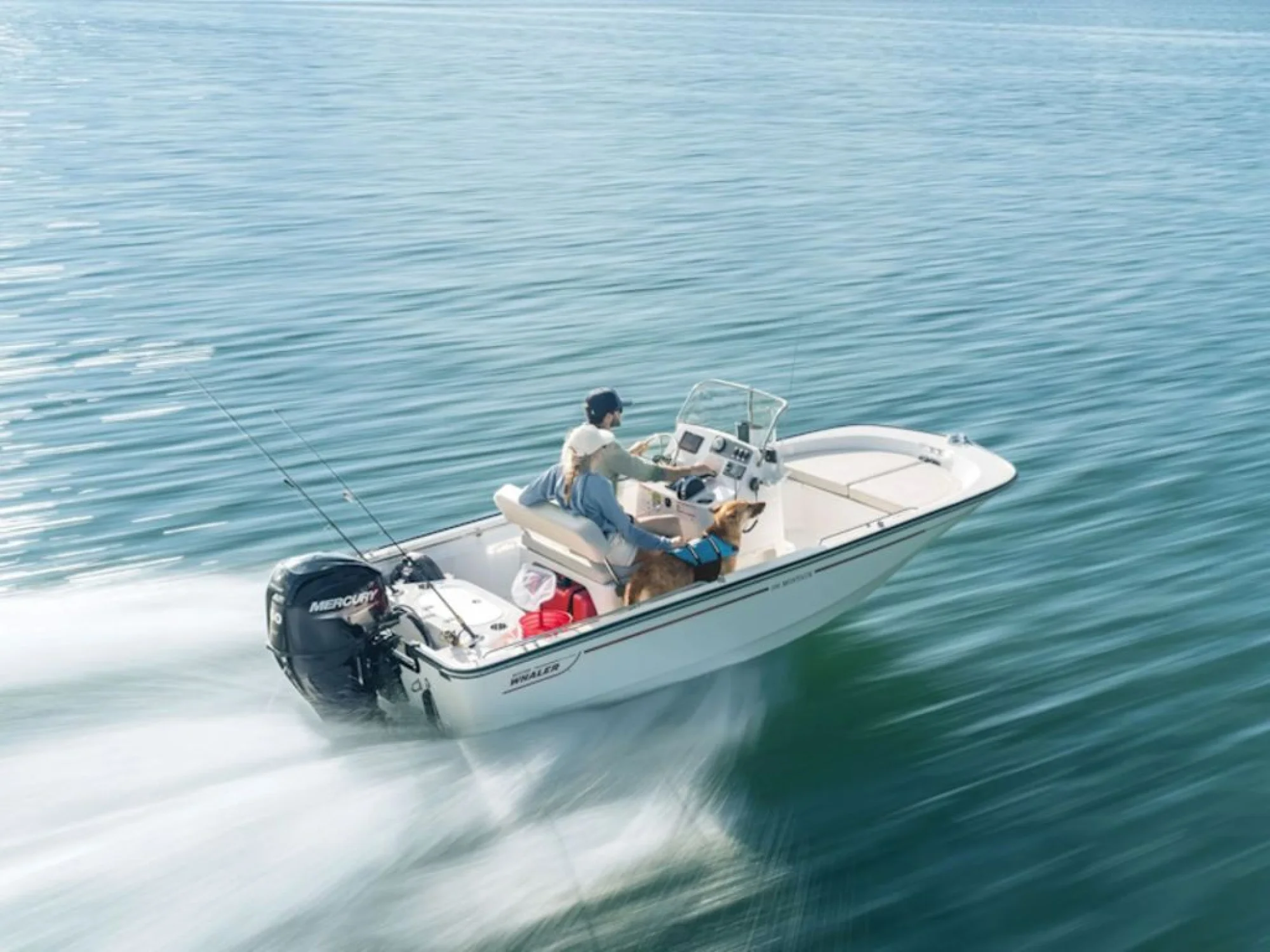 Boston Whaler 150 Montauk - Image 2