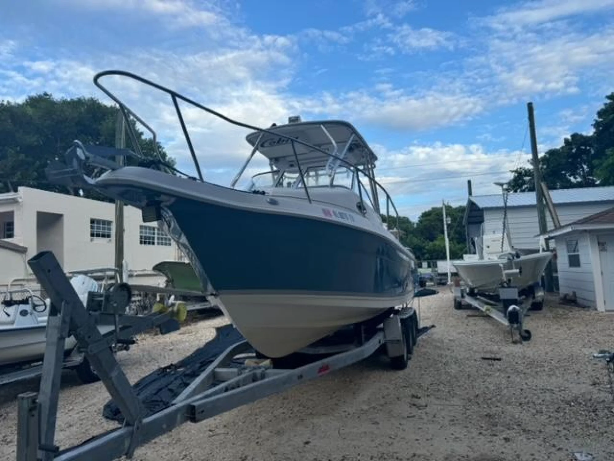 New arrival - Image 2