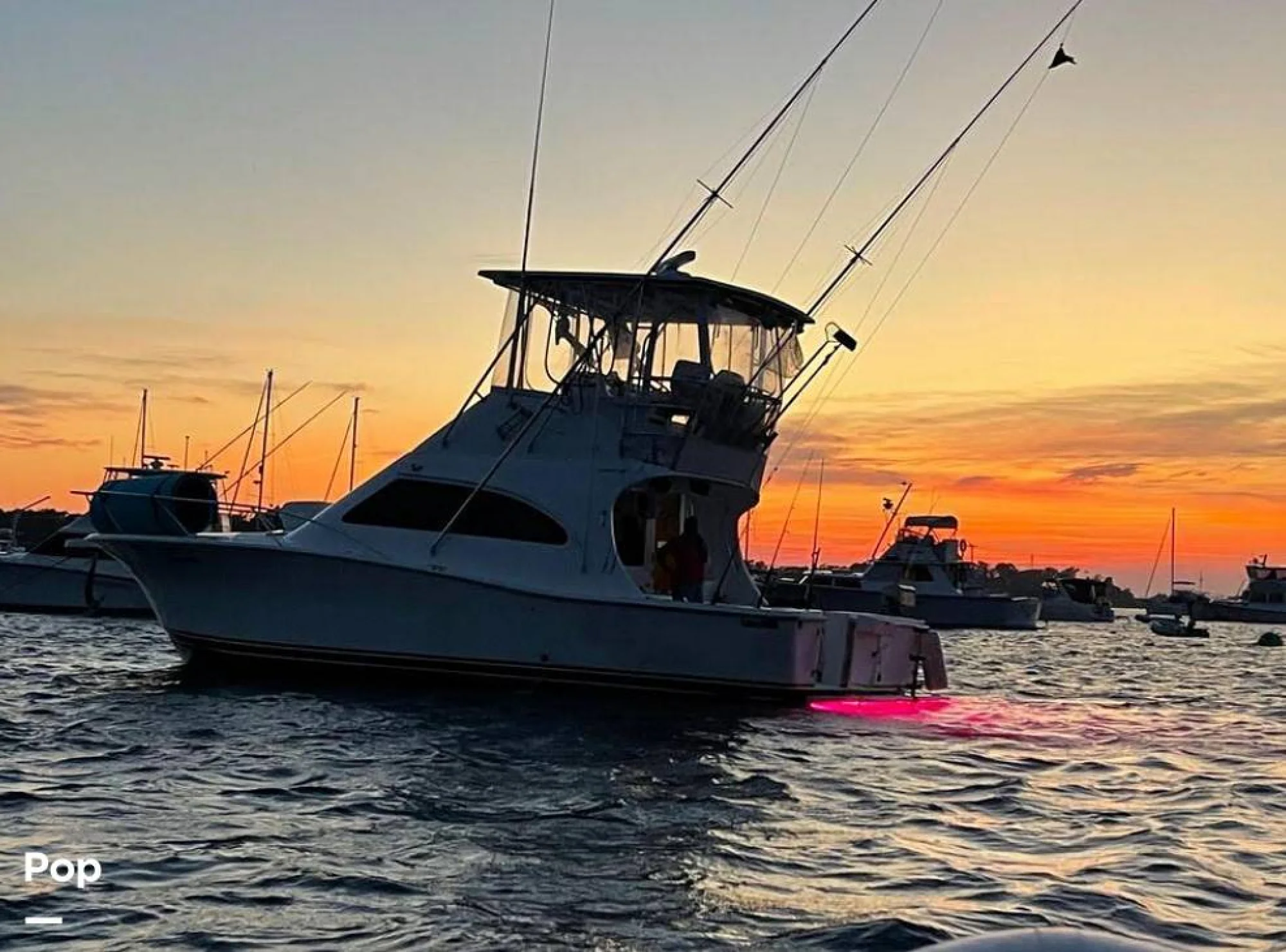2005 Luhrs 36 Sportfish - Image 5