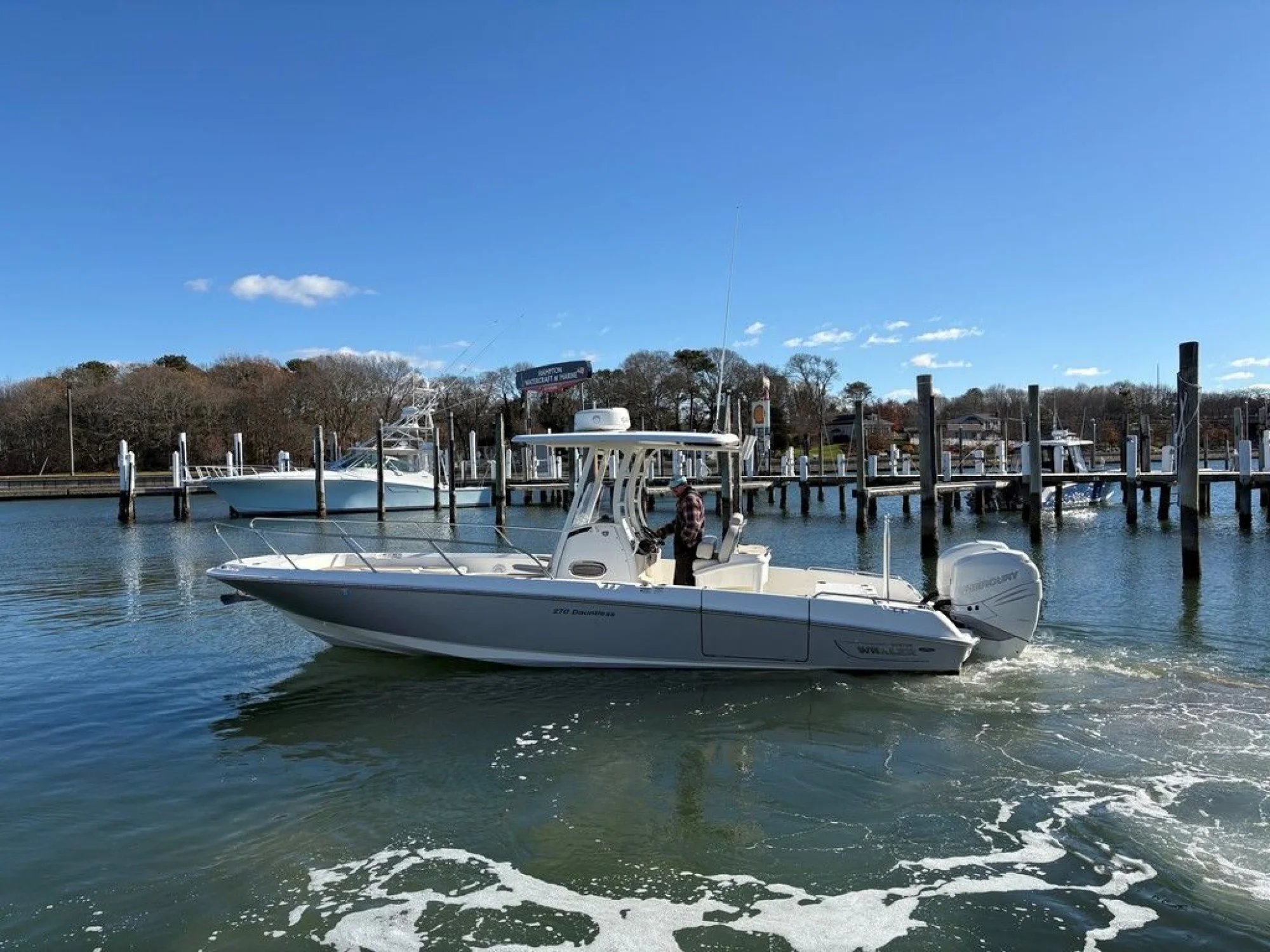 Boston Whaler 270 Dauntless - Image 2