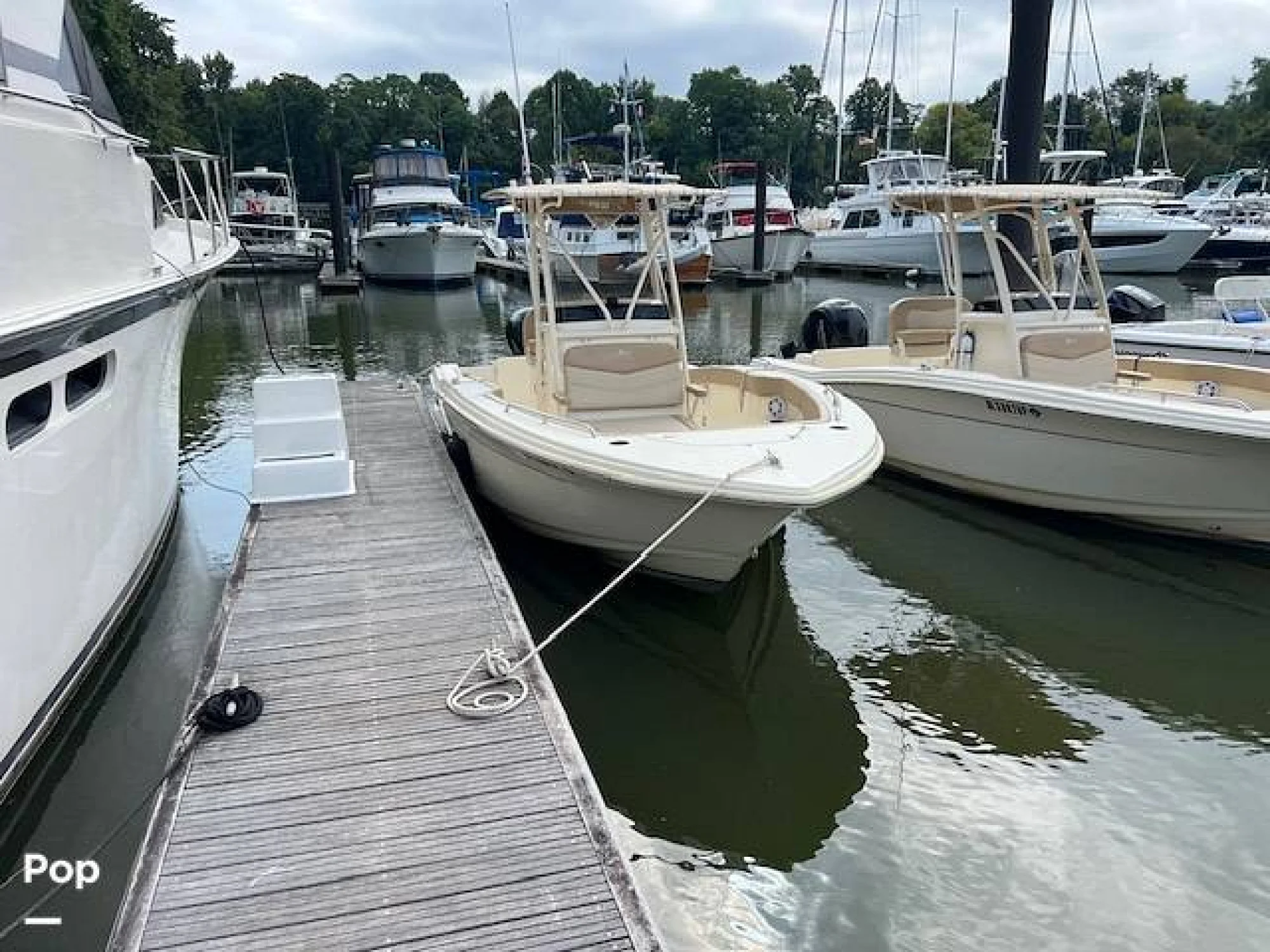 2023 Scout 215 XSF - Image 2