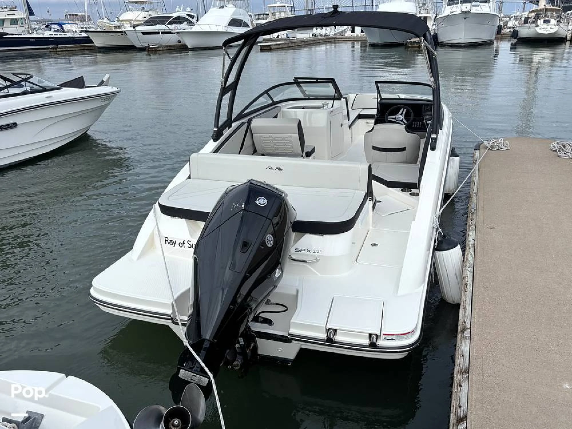 2025 Sea Ray SPX 210 OB - Main Image