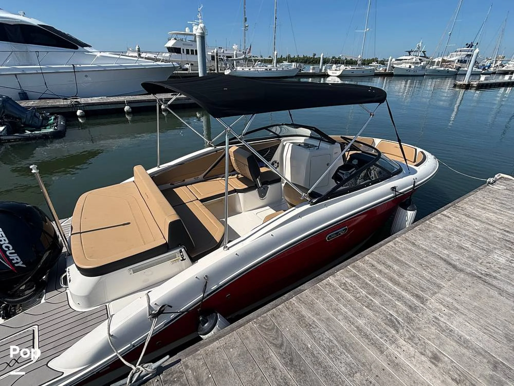 2024 Sea Ray SPX 210 OB - Image 3