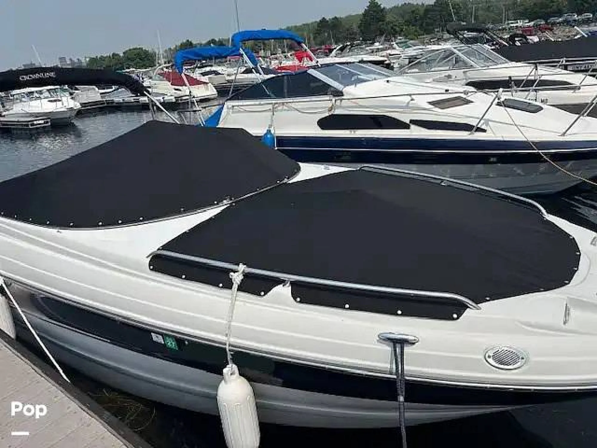 2007 Crownline 240 LS - Image 5