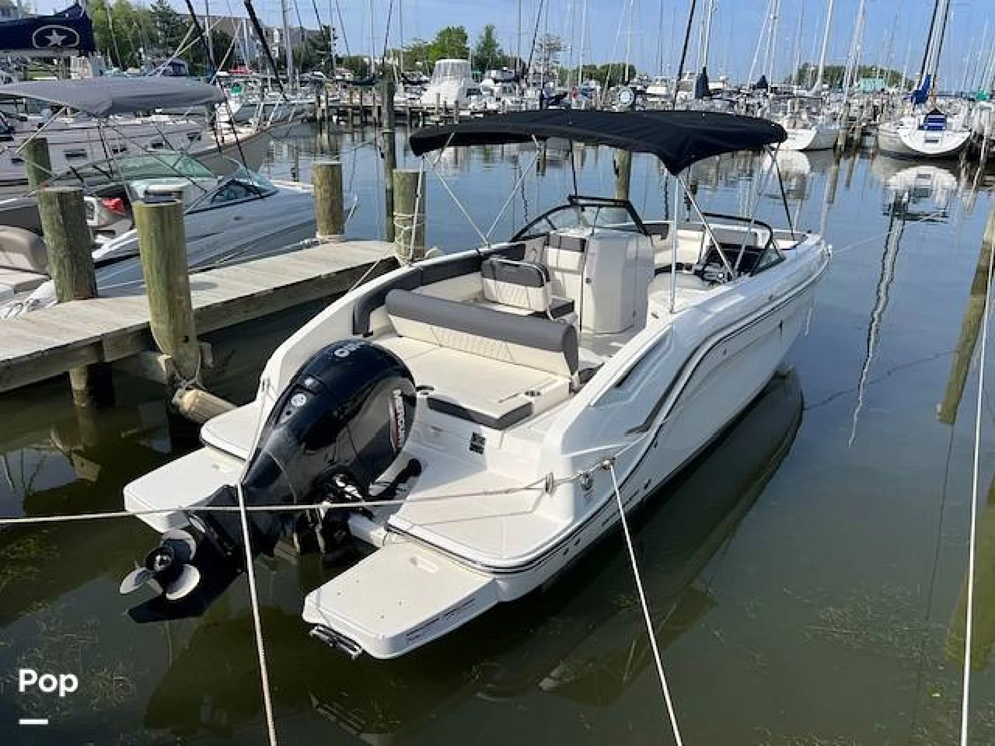 2023 Bayliner DX 2200 - Main Image