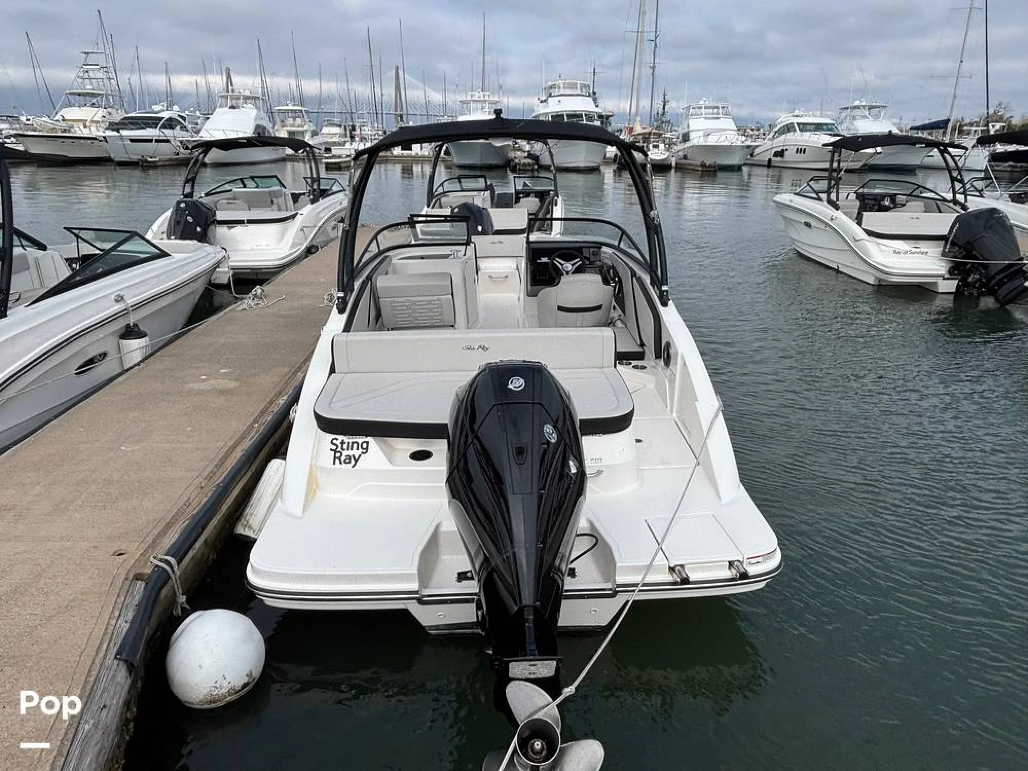 2025 Sea Ray SPX 210 OB - Image 2