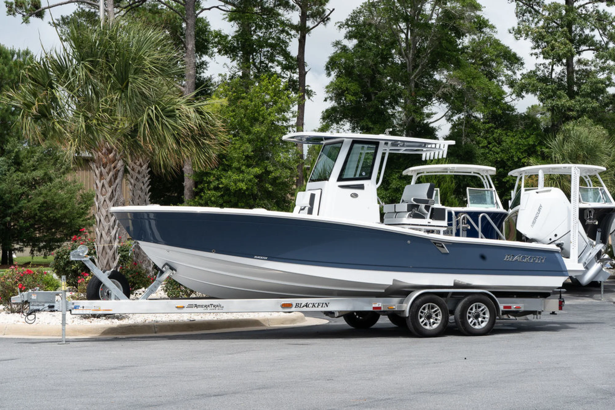 Blackfin 262HB - Main Image