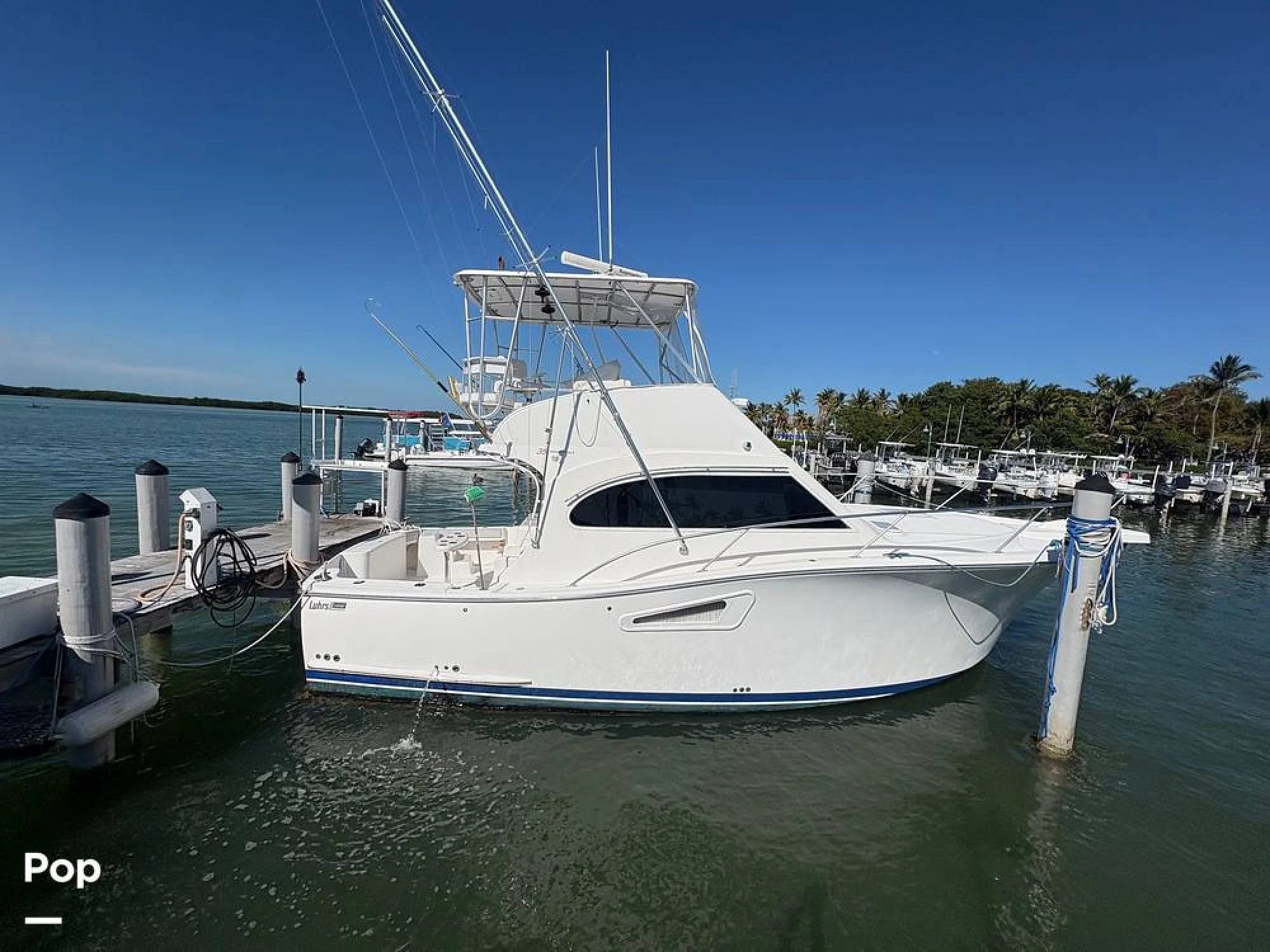 2008 Luhrs Sportfish 35 - Image 2