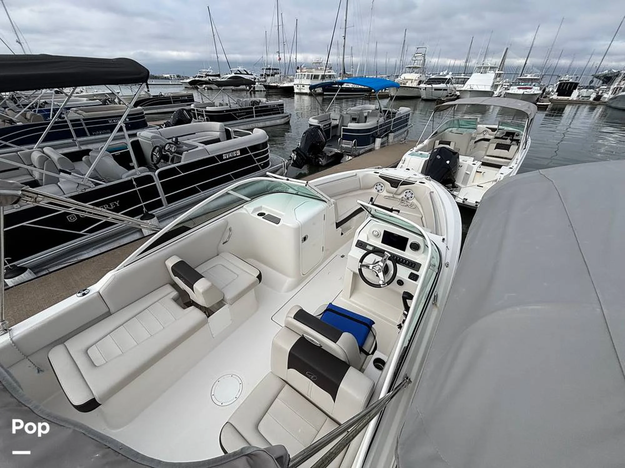 2024 Sailfish 226 DC - Image 3