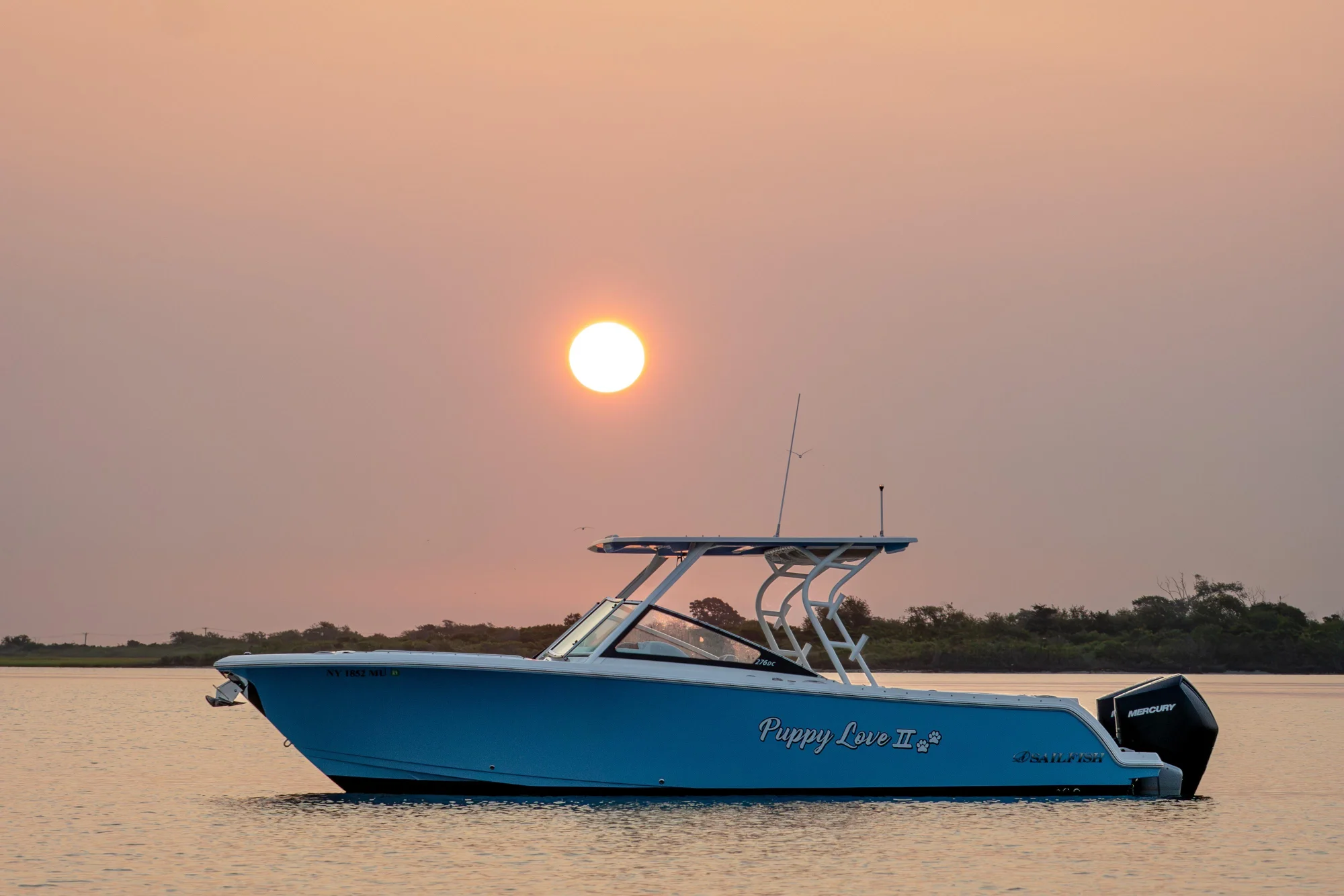 2024 Sailfish 276 DC