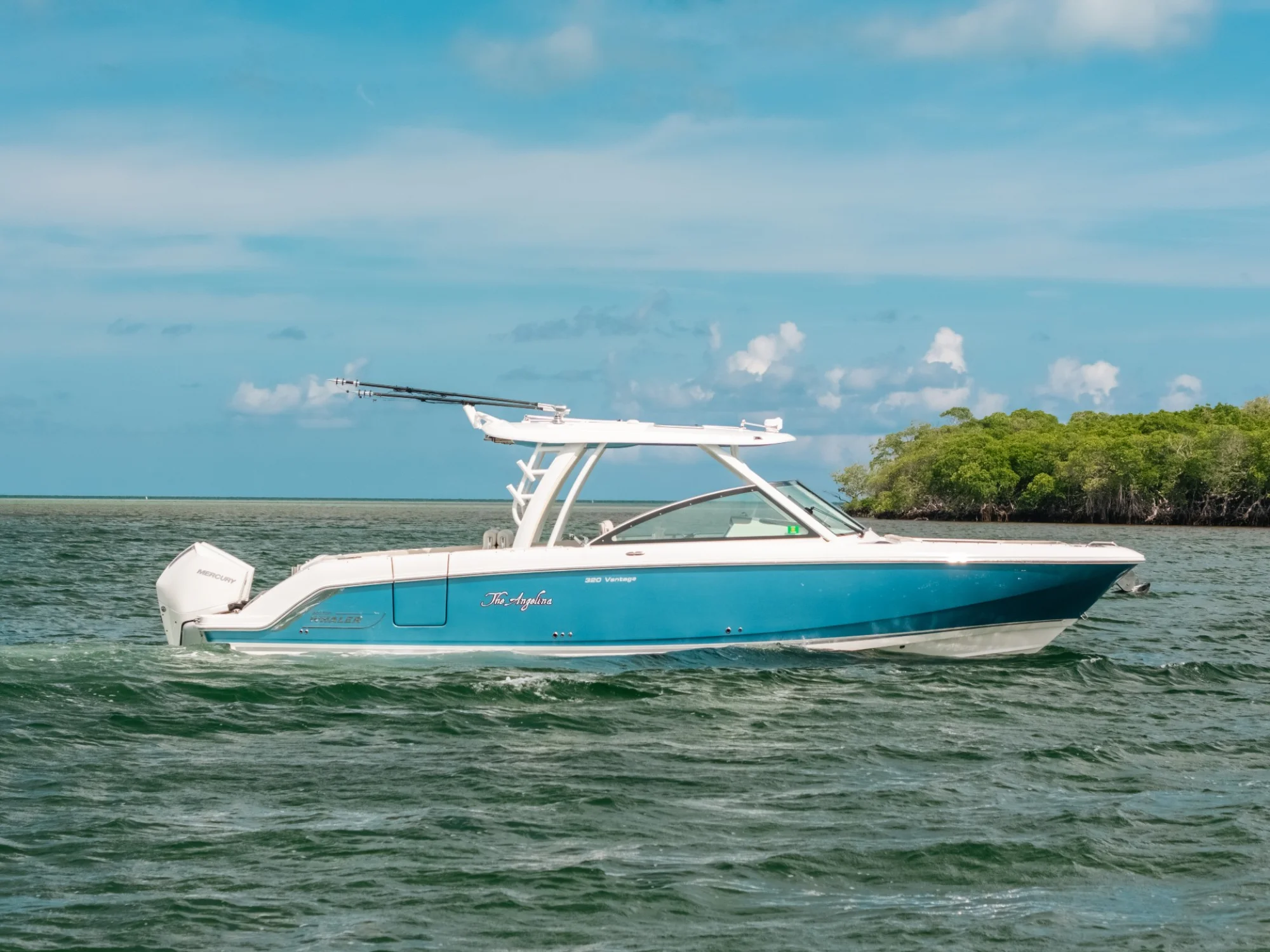 2024 Boston Whaler 320 Vantage - Image 2